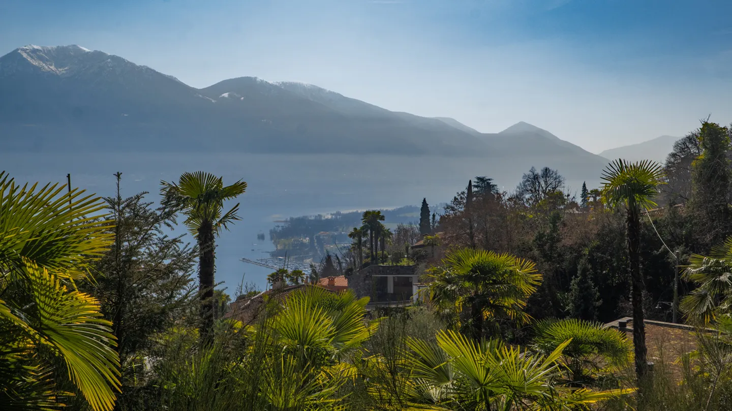 Land in a quiet area with lake view - Photo 10 of 10