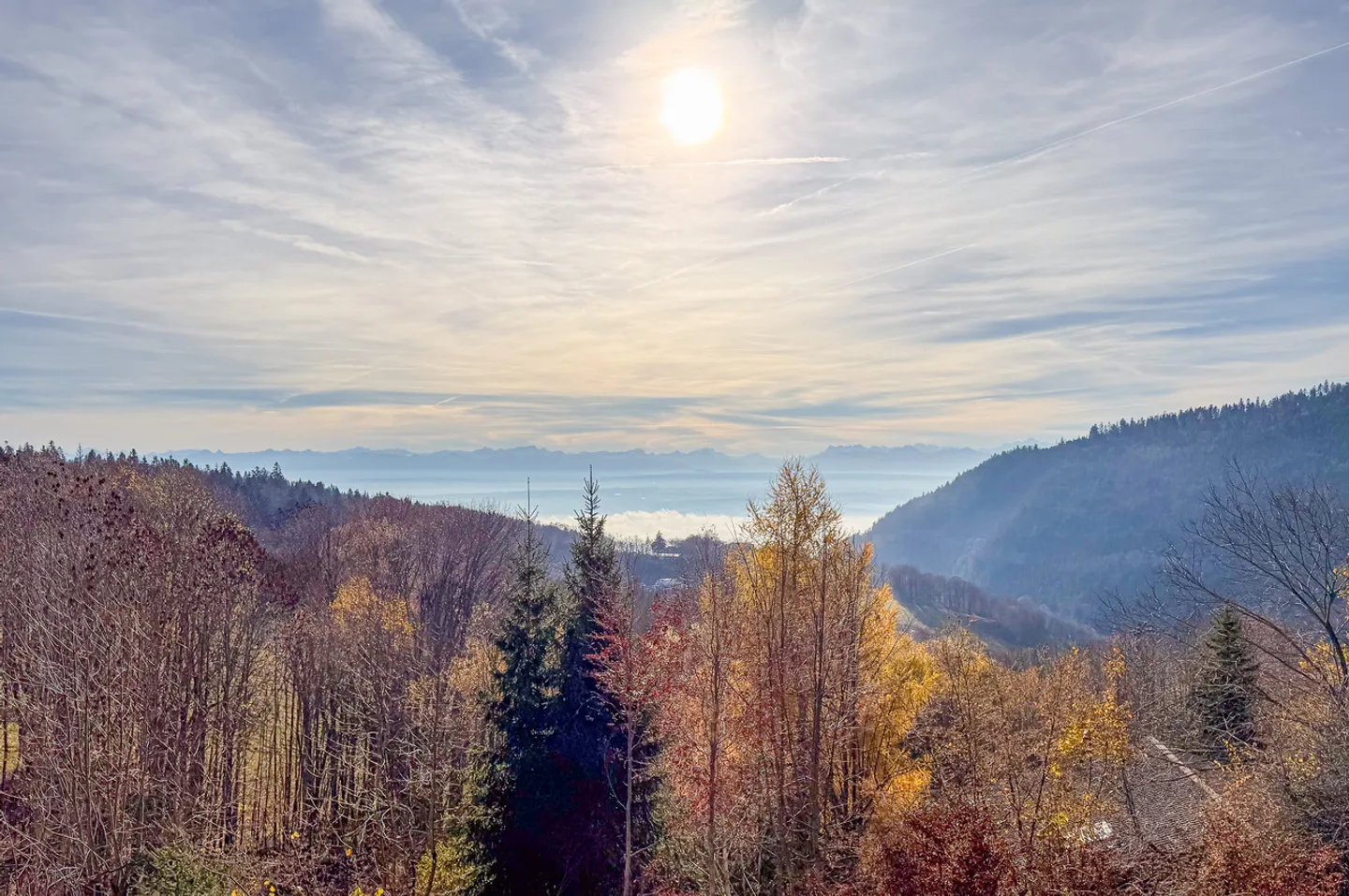 Appartamento al piano terra di 2,5 locali con balcone e vista magnifica - Foto 3 di 13