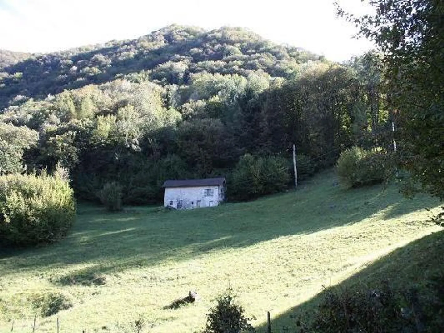Casa singola in affitto - Foto 4 di 6