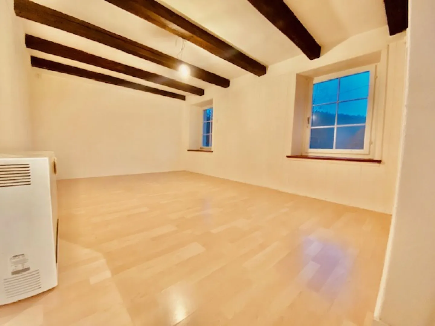 Proprietà di investimento conveniente o casa bifamiliare a Kollbrunn ZH - Foto 11 di 13