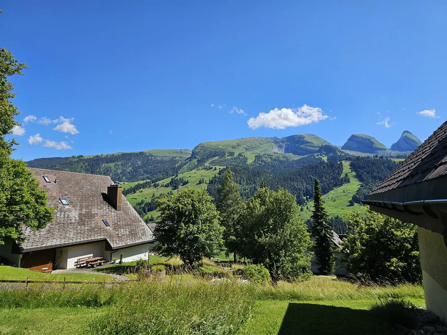 Appartamento 3,5 locali a Unterwasser con vista magnifica - Foto 5 di 17