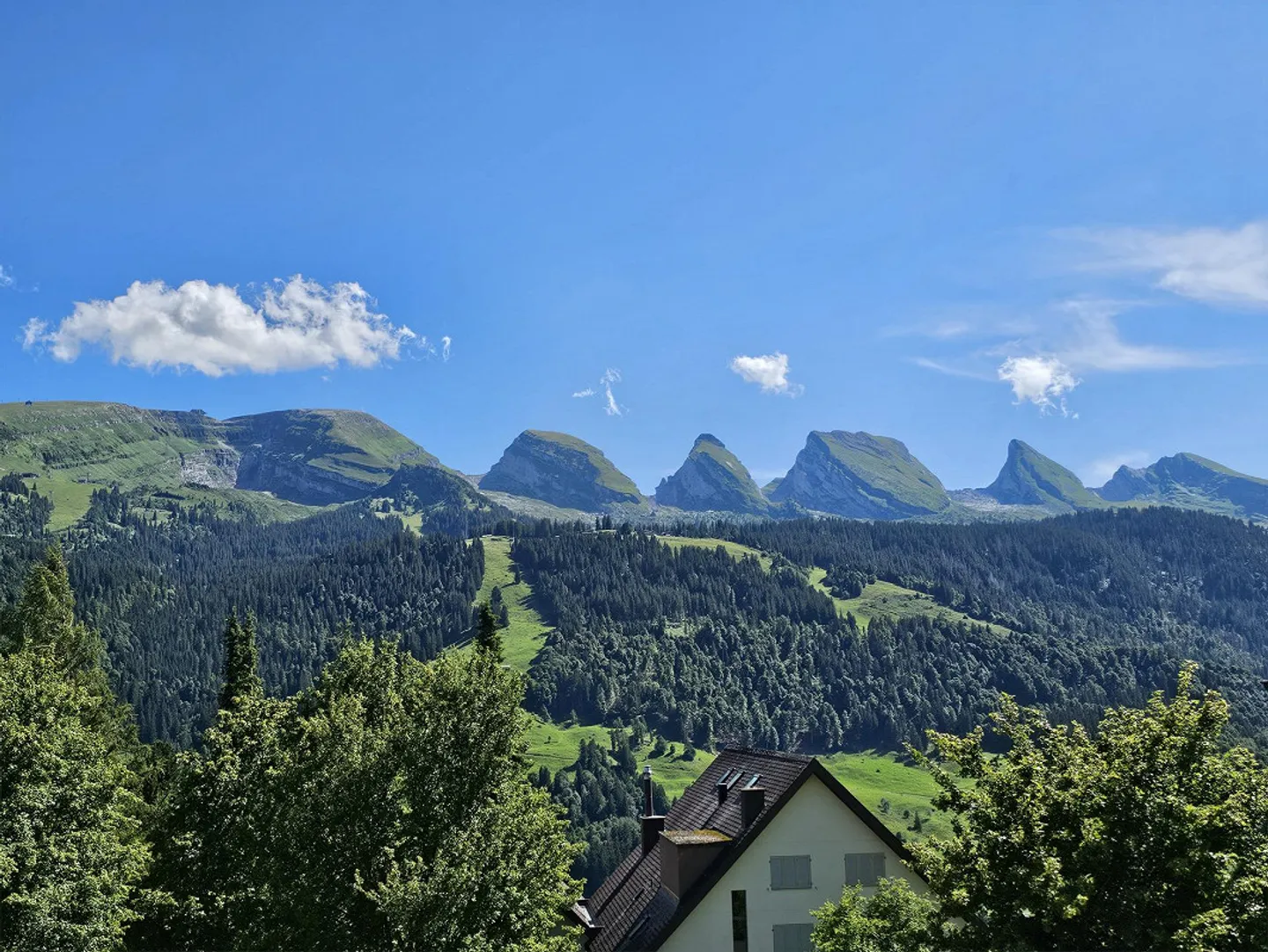 Appartamento 3,5 locali a Unterwasser con vista magnifica - Foto 6 di 17