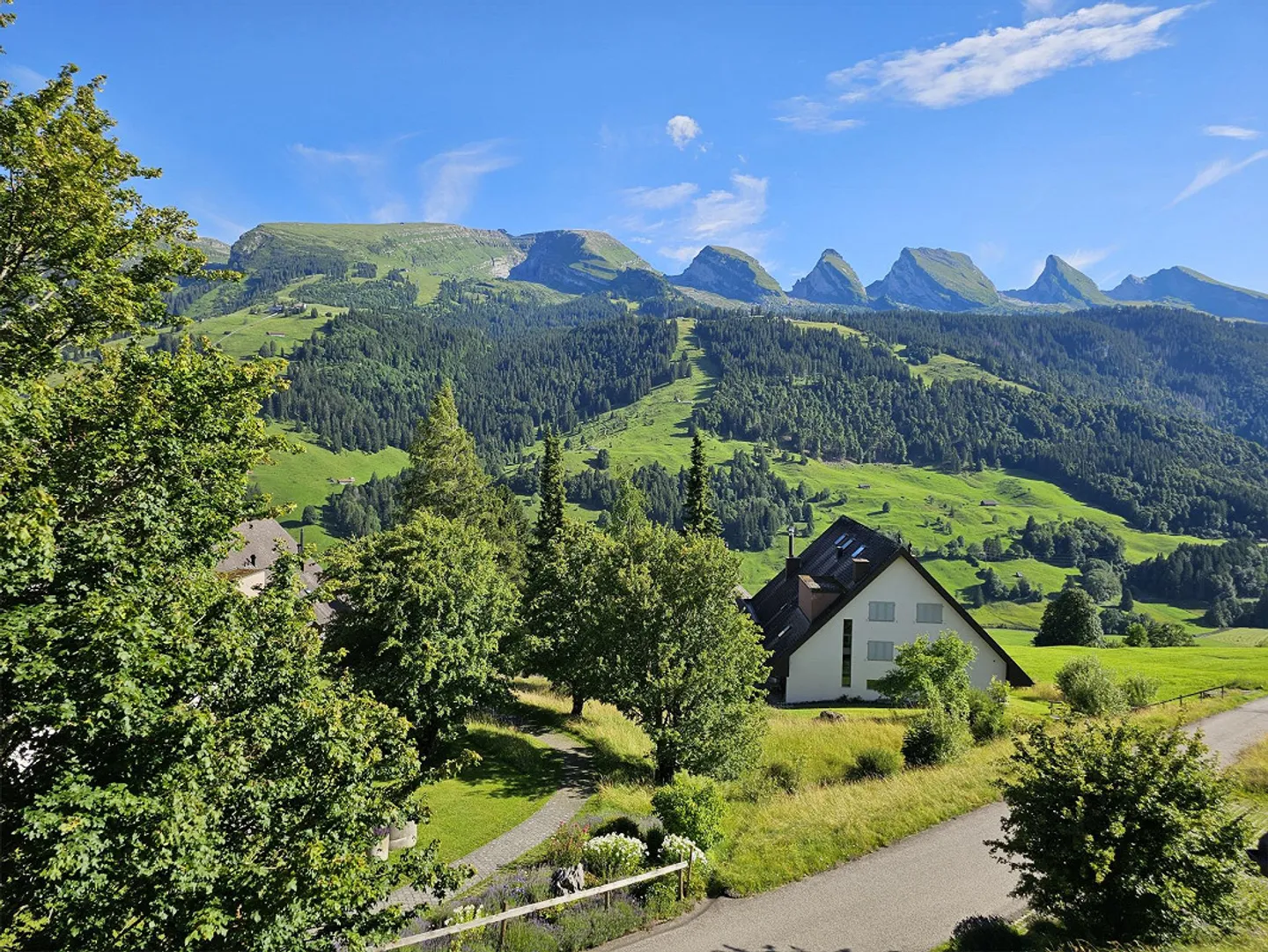Appartamento 3,5 locali a Unterwasser con vista magnifica - Foto 7 di 17