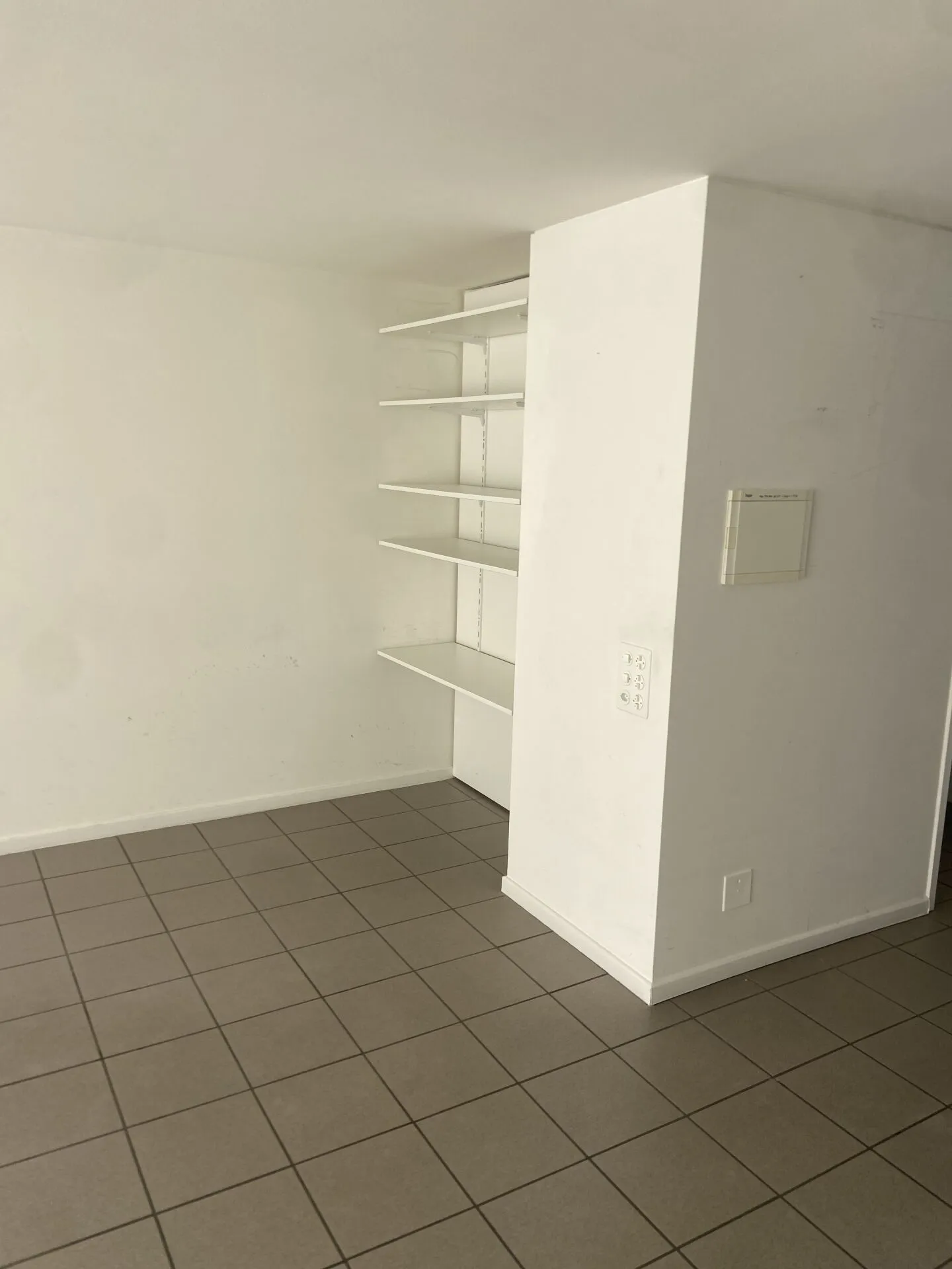 MUNDÁSC 2A, 6513 MONTE CARASSO (BELLINZONA) - Photo 11 of 17