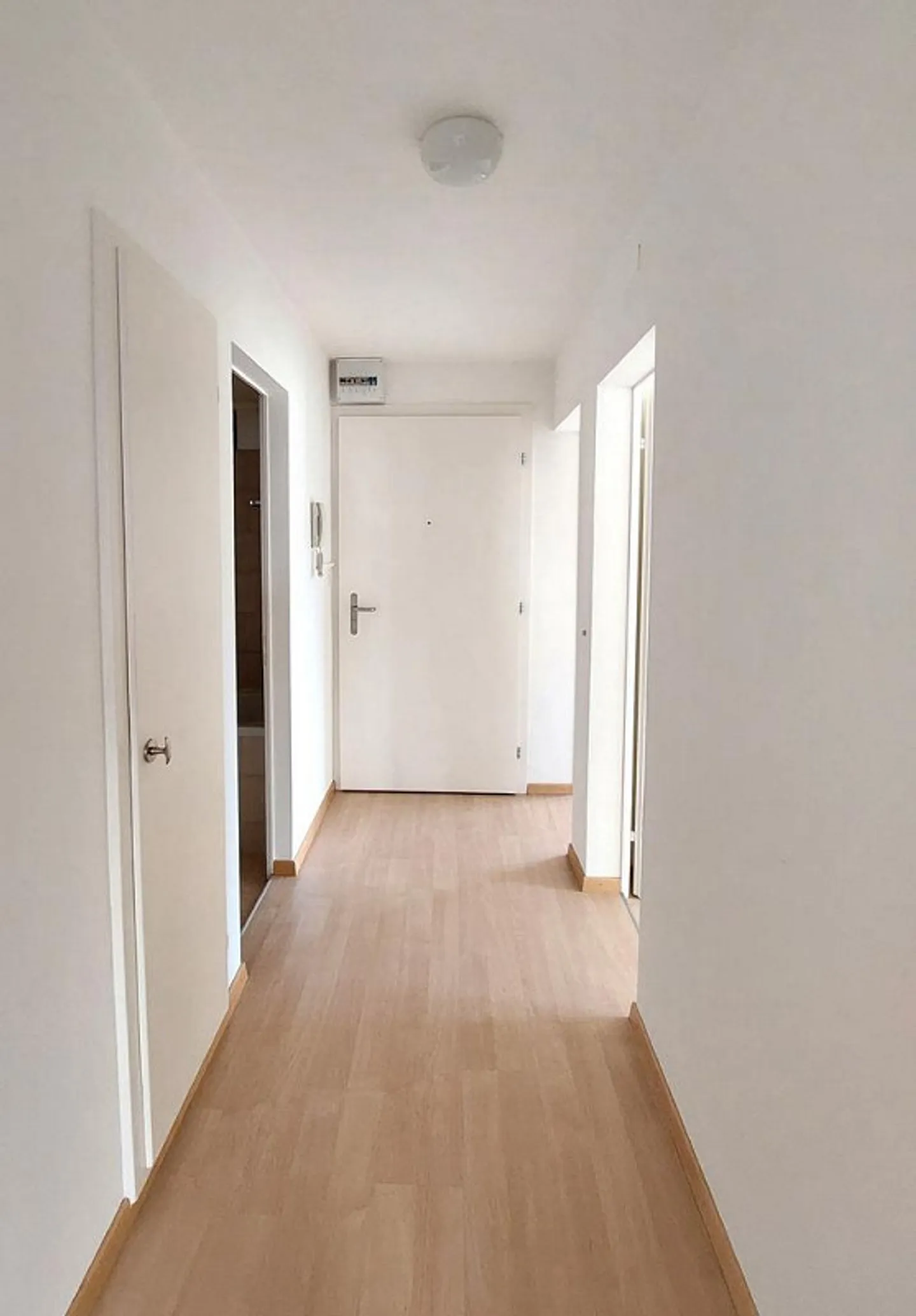 Ottimo rapporto qualità/prezzo - Foto 5 di 6