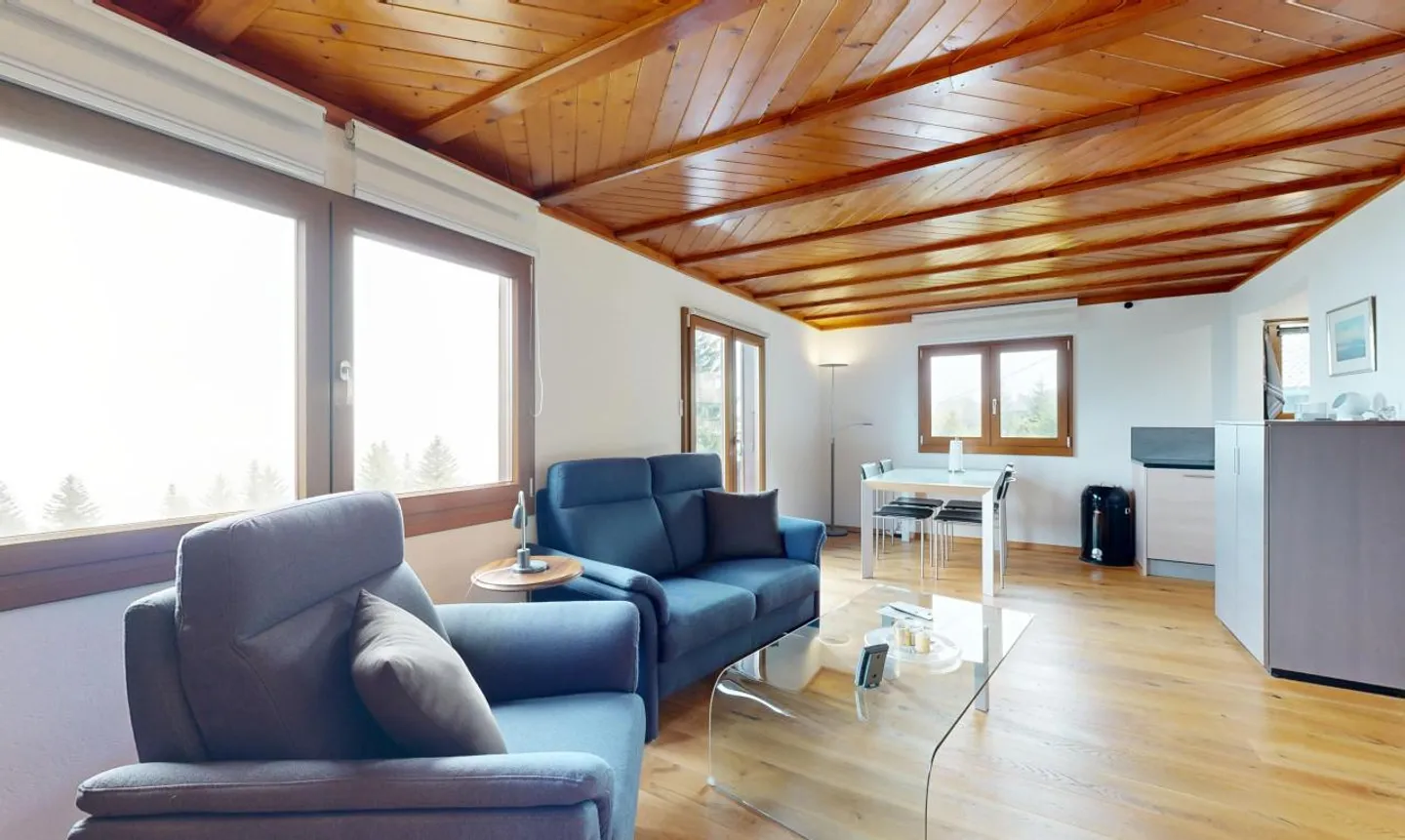 Magnificent chalet and its private studio - Les Giettes - Photo 7 of 13