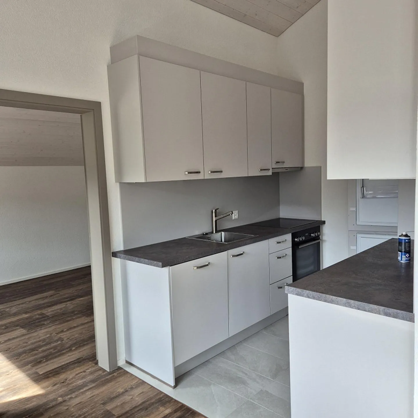 Appartamento spazioso di 4,5 stanze completamente ristrutturato con grande stanza hobby - Foto 1 di 10