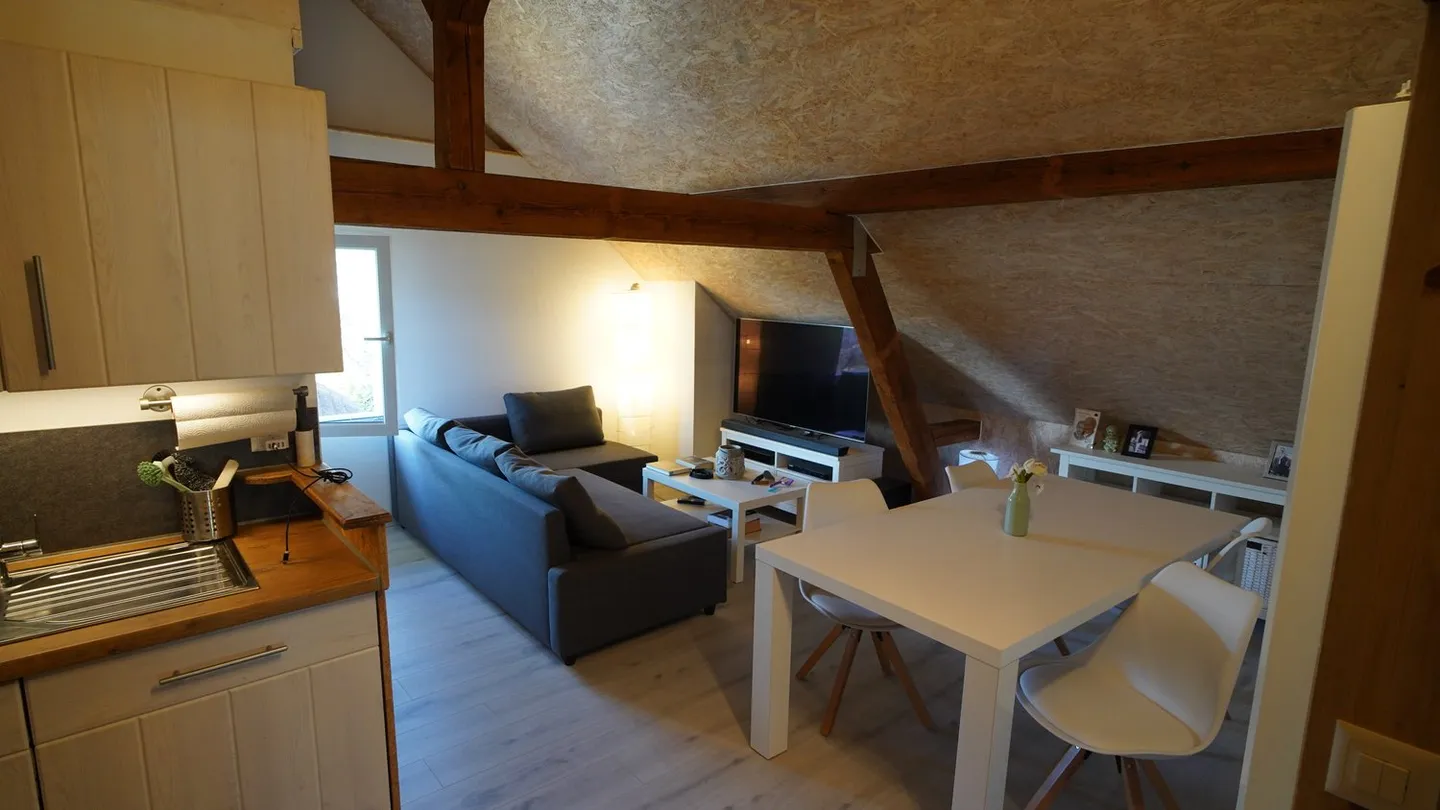 Historic Single-Family Home with 12 Rooms in Niederbipp - Photo 5 of 13