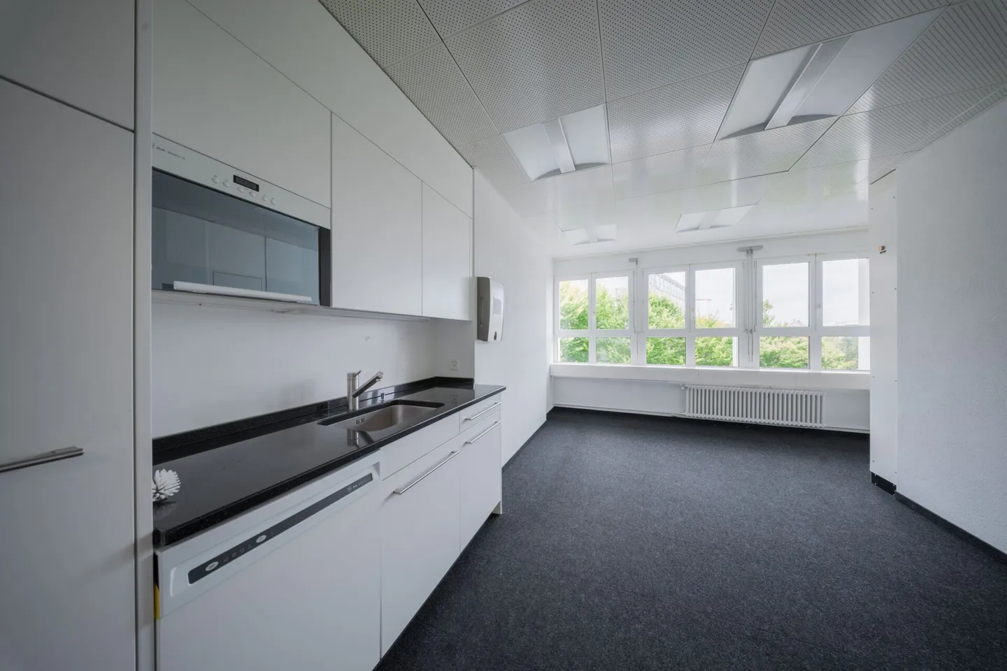 Horgen - Expanded Office Plug and Play - Photo 9 of 11