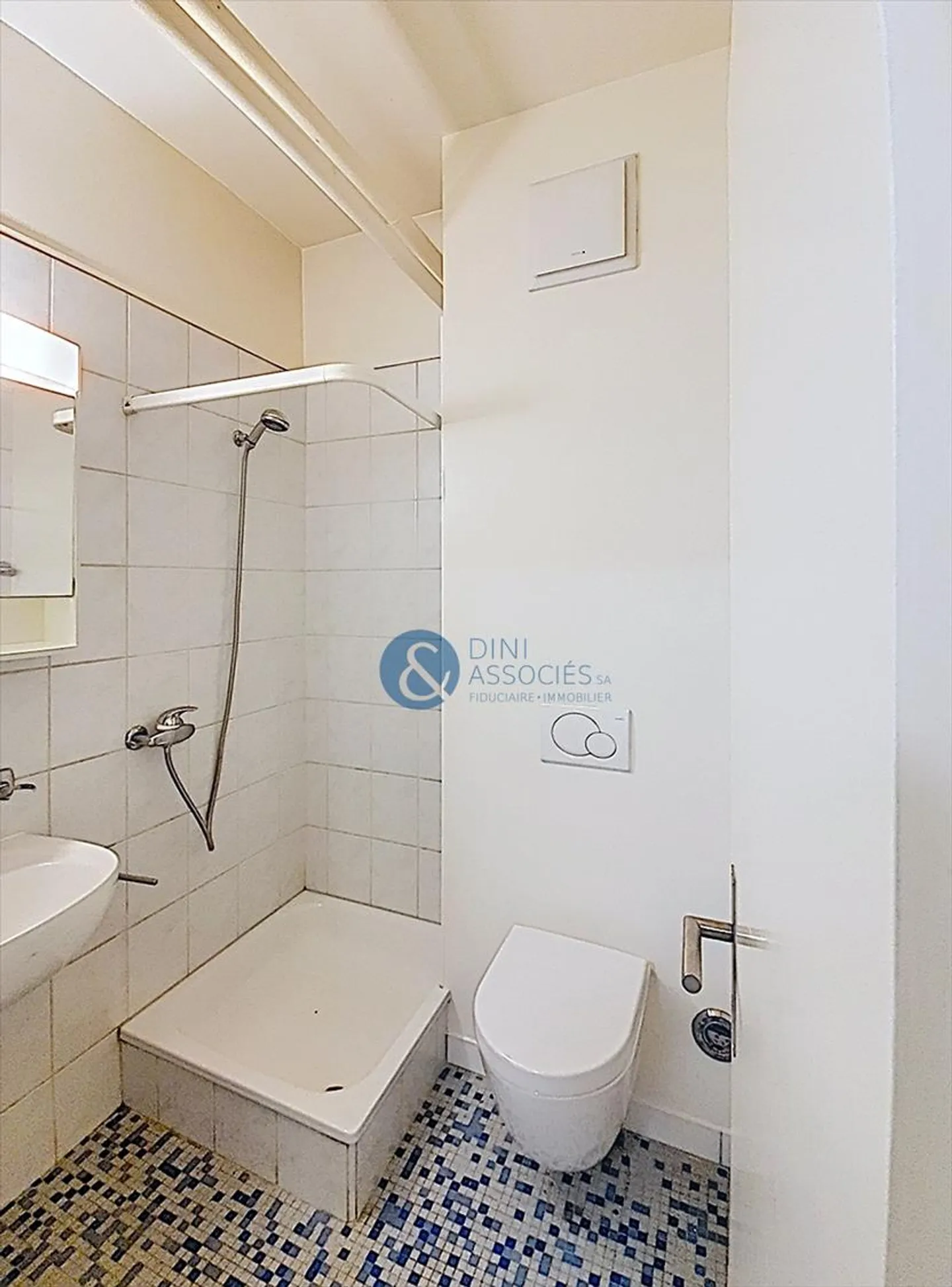 1.5 Room Apartment - Photo 3 of 3