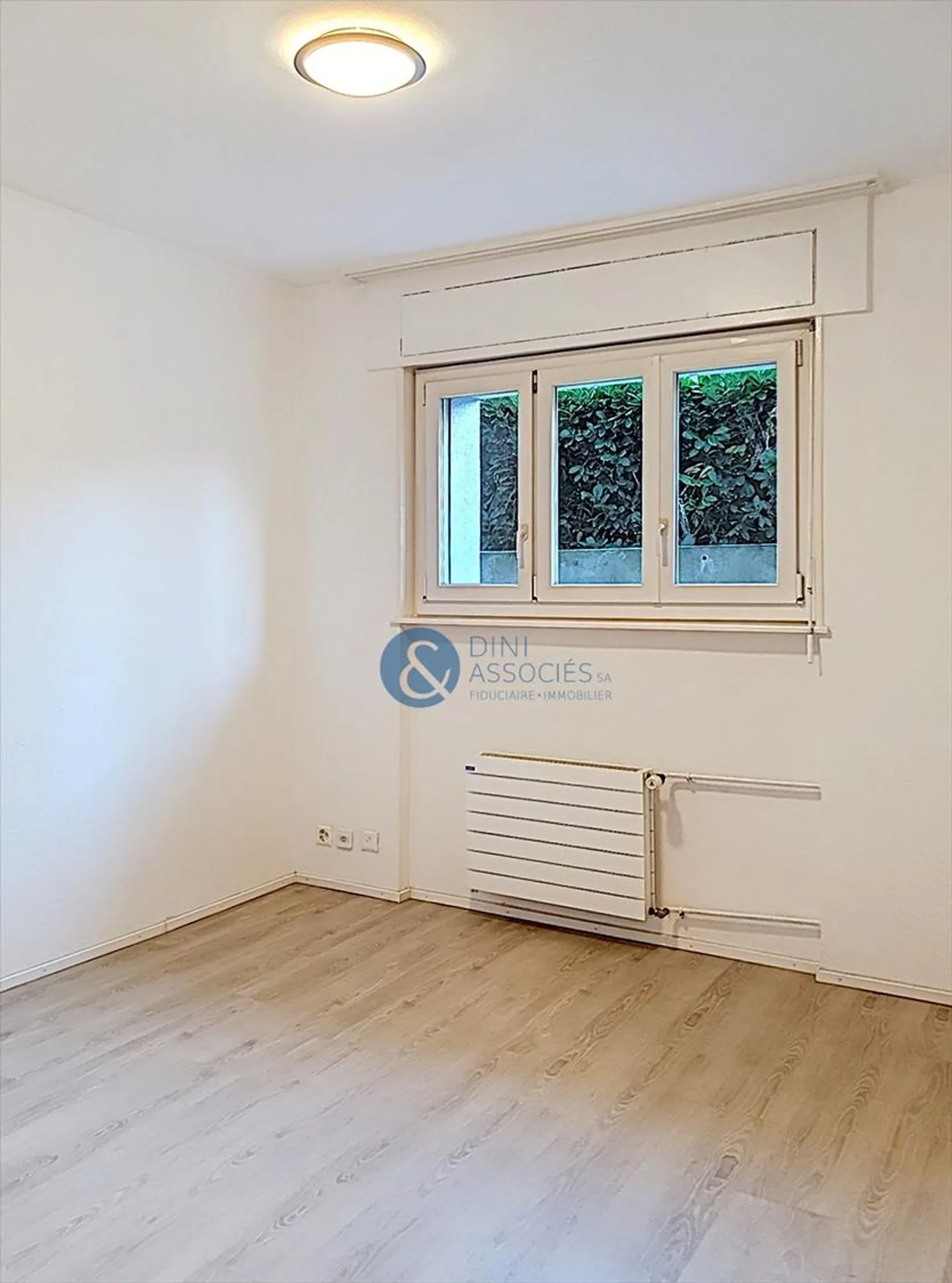 1.5 Room Apartment - Photo 1 of 3