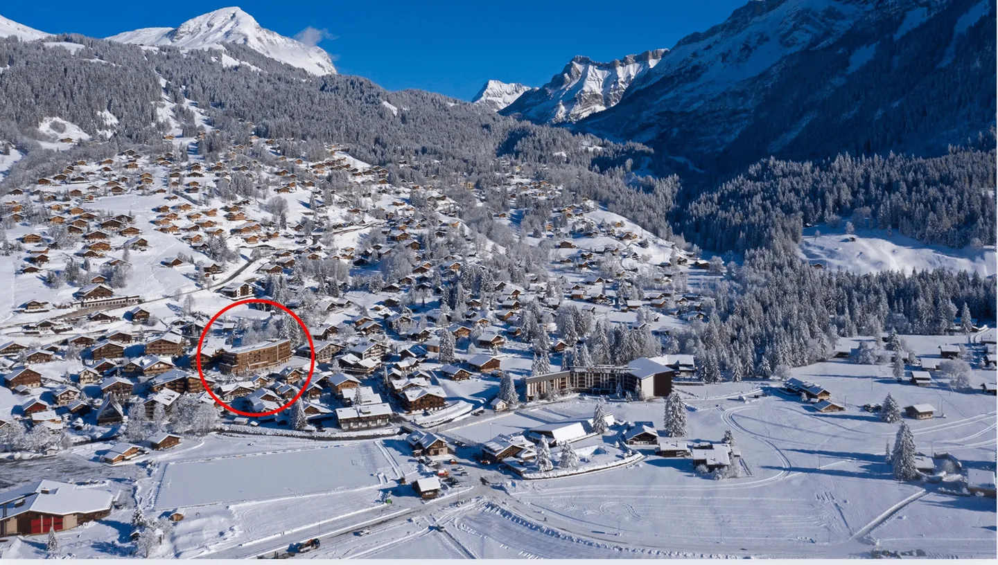 High-Class Apartment - Residence Ermitage 2.5 Rooms - Les Diablerets - Photo 11 of 11