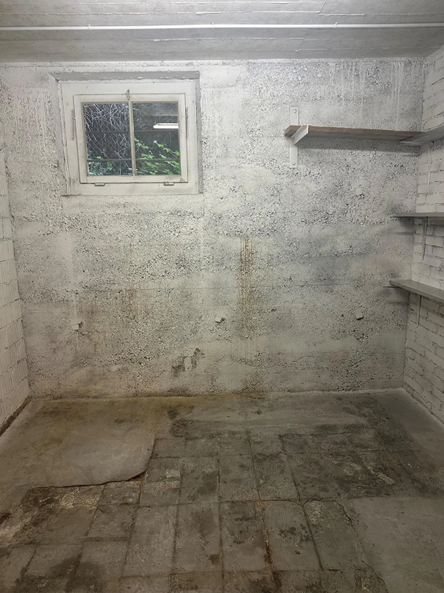 Charmante Wohnung in Laufen - Foto 8 von 8