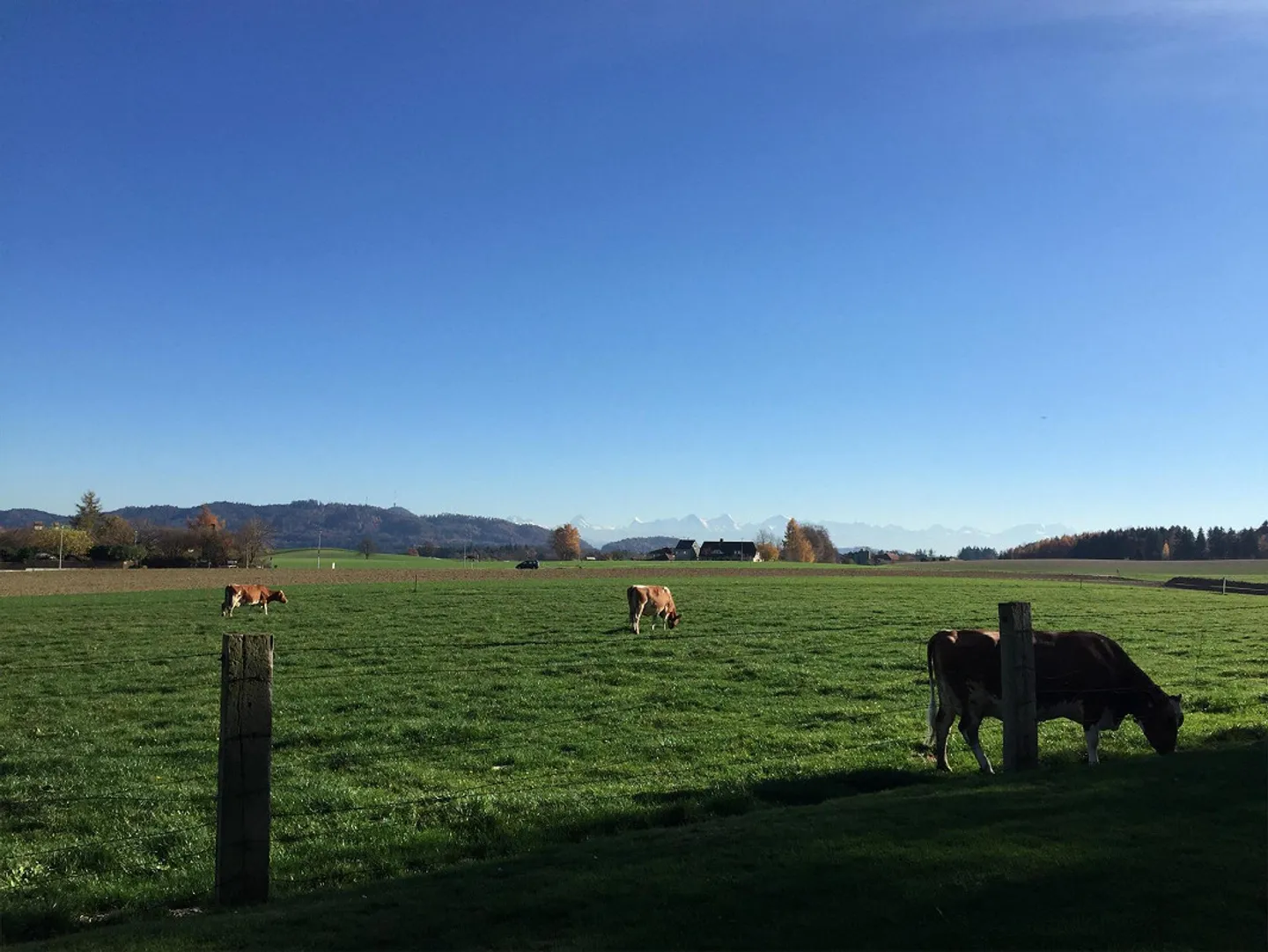 Bright 4.0 room apartment in Münchenbuchsee - Photo 8 of 9