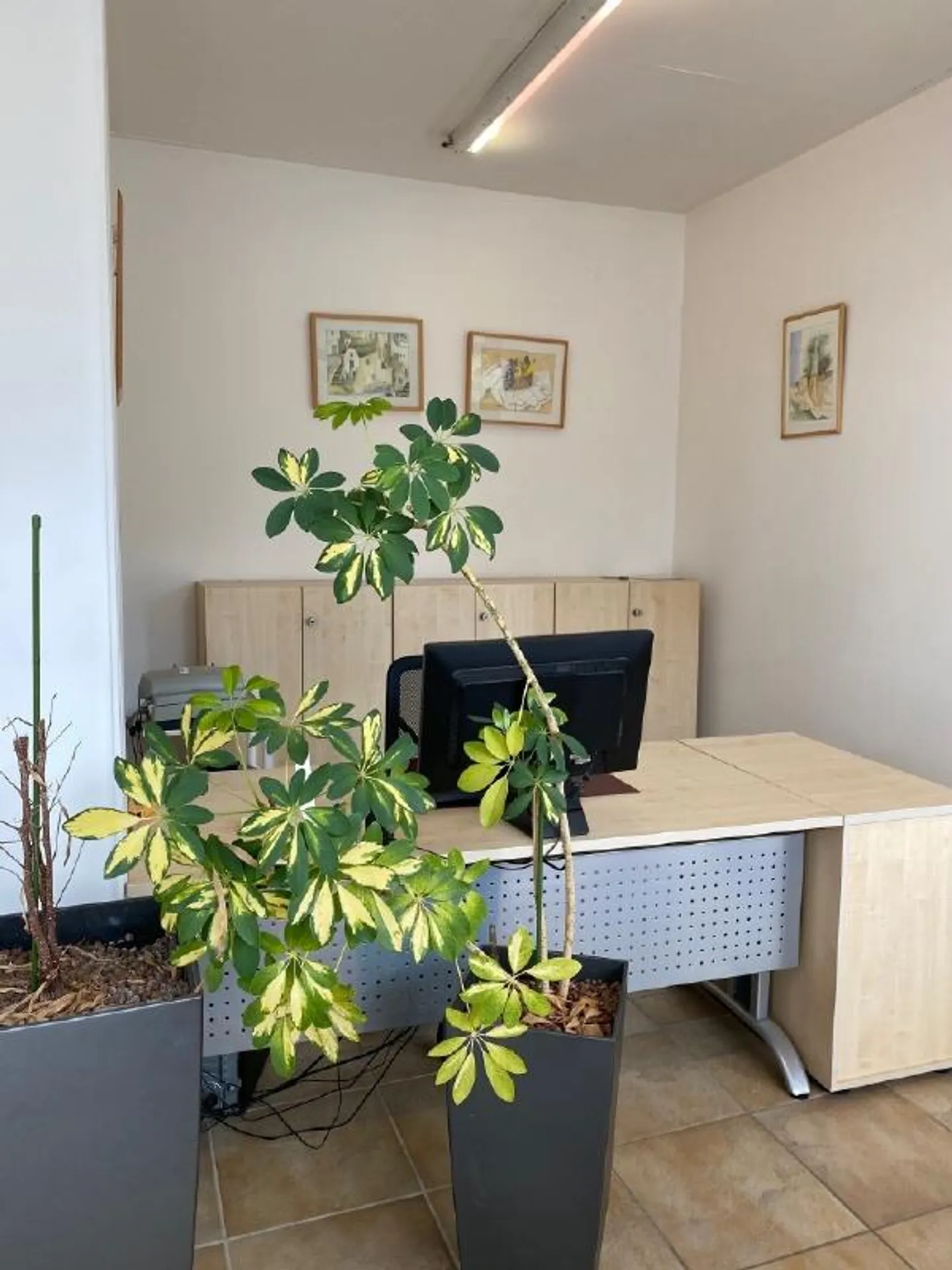 Spazio ufficio in affitto al piano terra - Foto 6 di 8