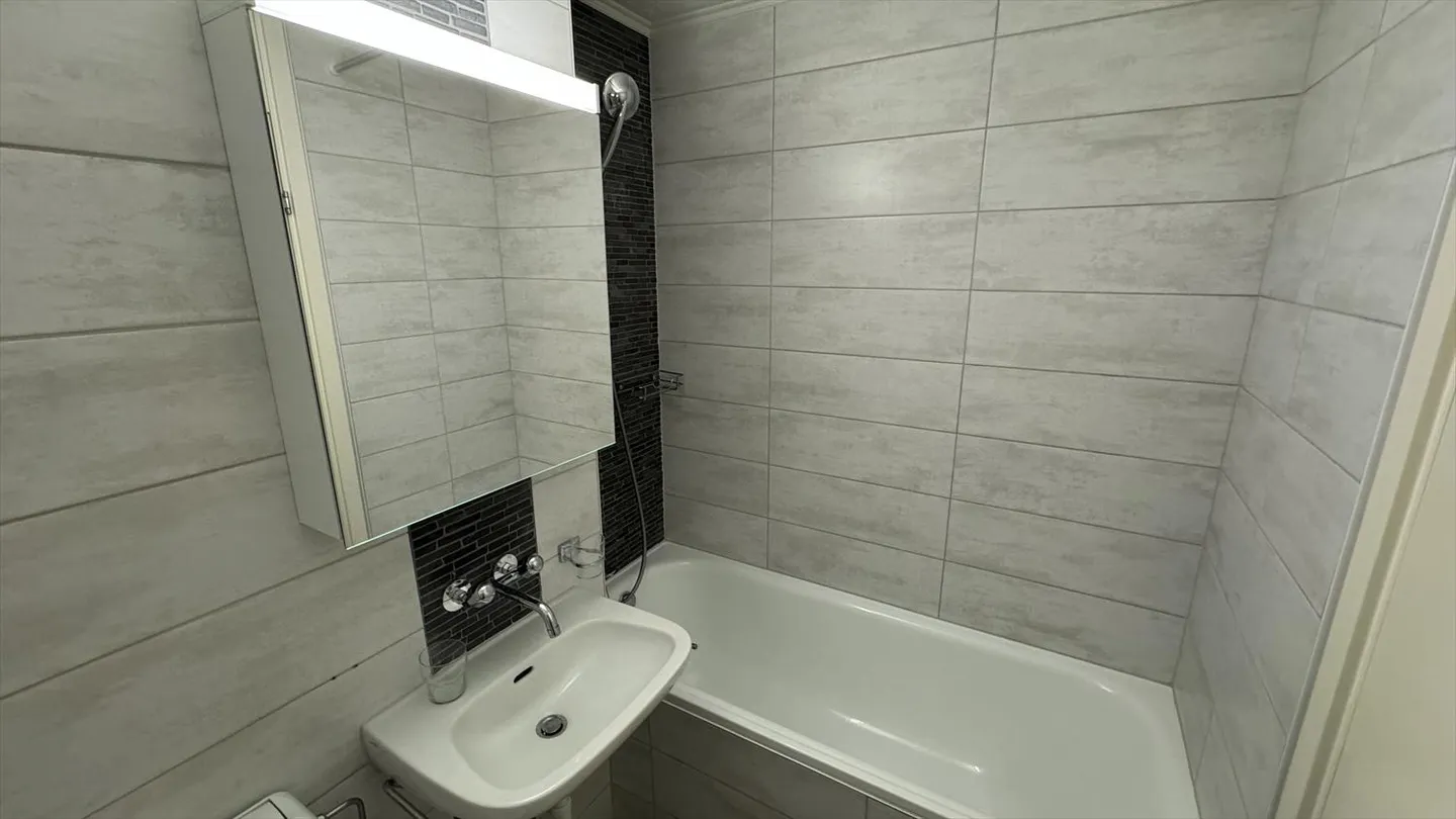 2.5 Room Apartment - Photo 8 of 10