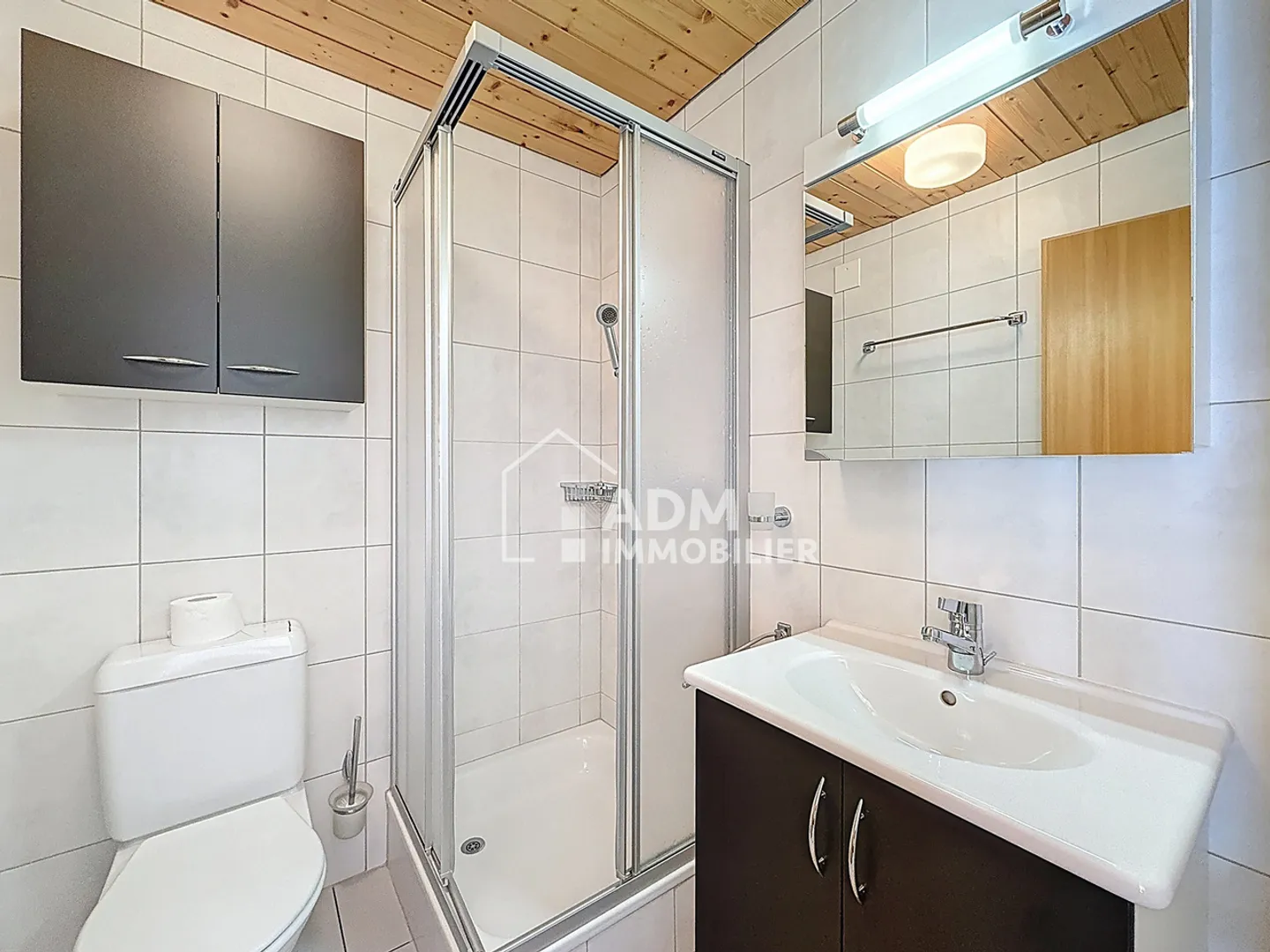 Saillon, penthouse 4.5 rooms near the thermal baths - Photo 6 of 14