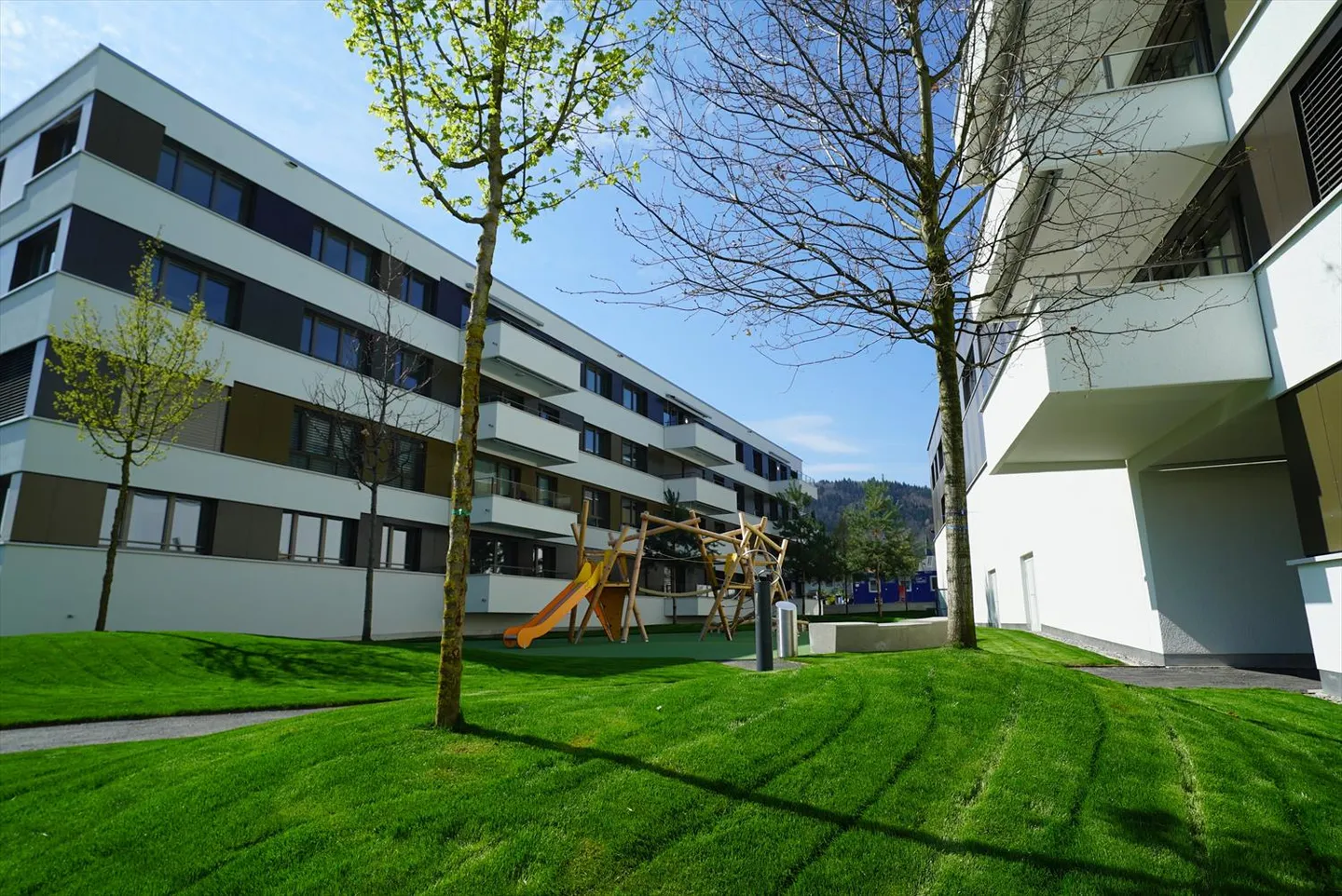 Limmatspot - Living in the Center - Photo 1 of 5