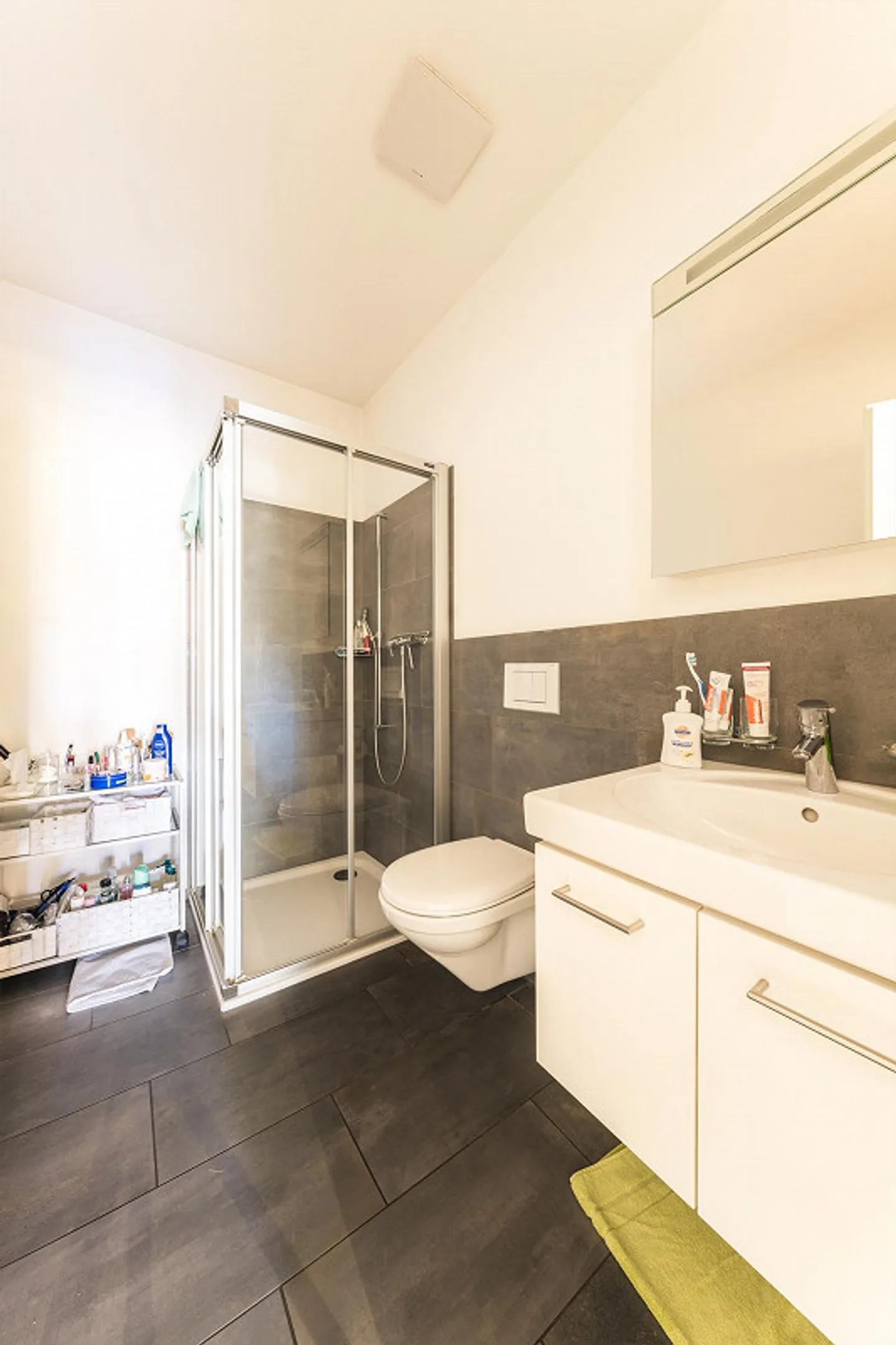 5.5 Zimmer Attika in Goldach - Foto 7 von 19