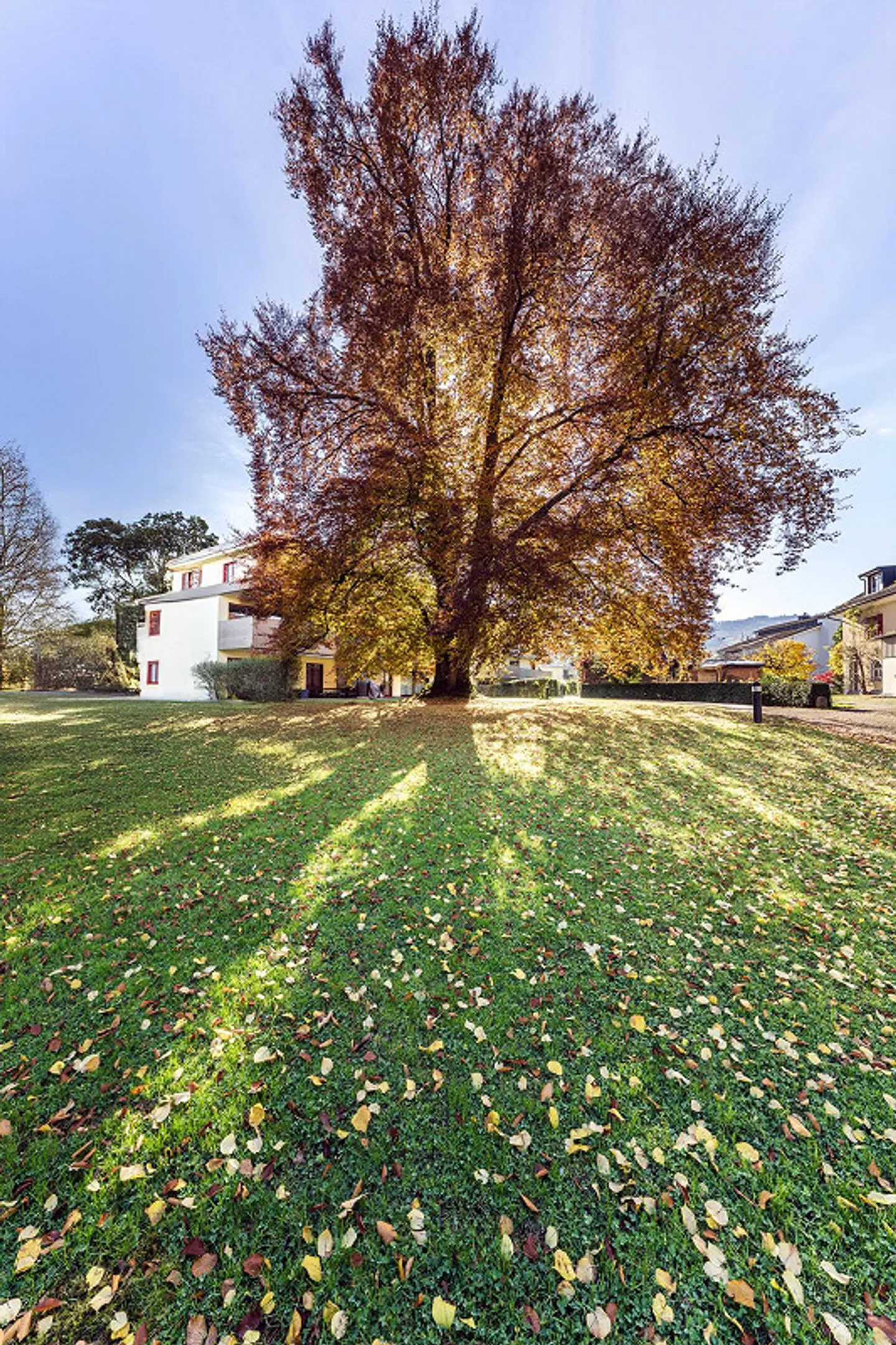 5.5 Zimmer Attika in Goldach - Foto 19 von 19