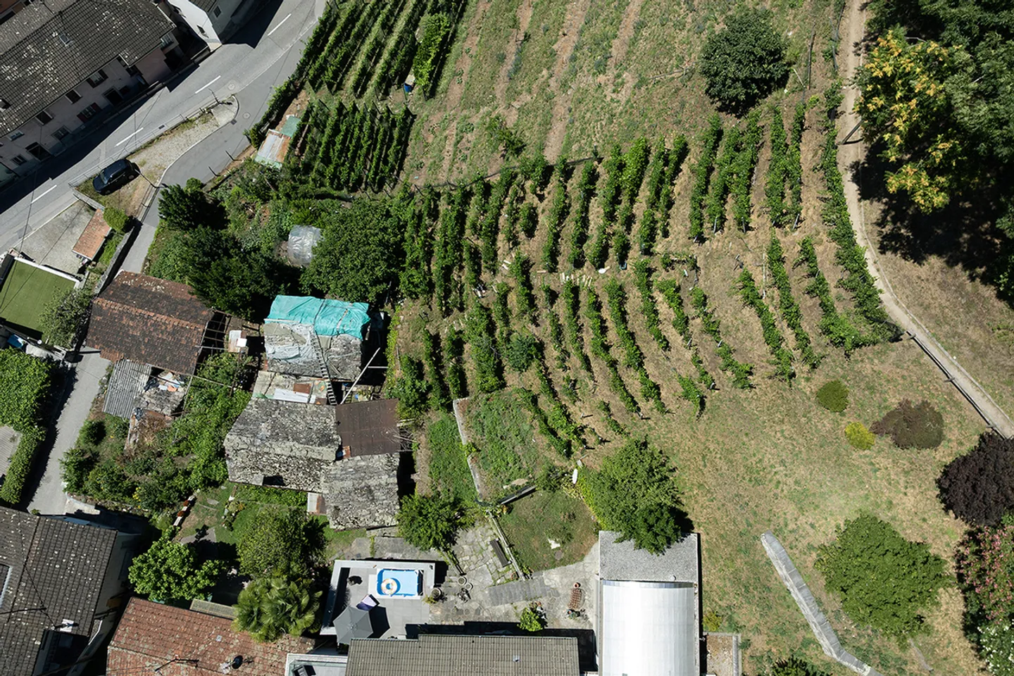 Building plot with approved project, ready for realization - Photo 1 of 5