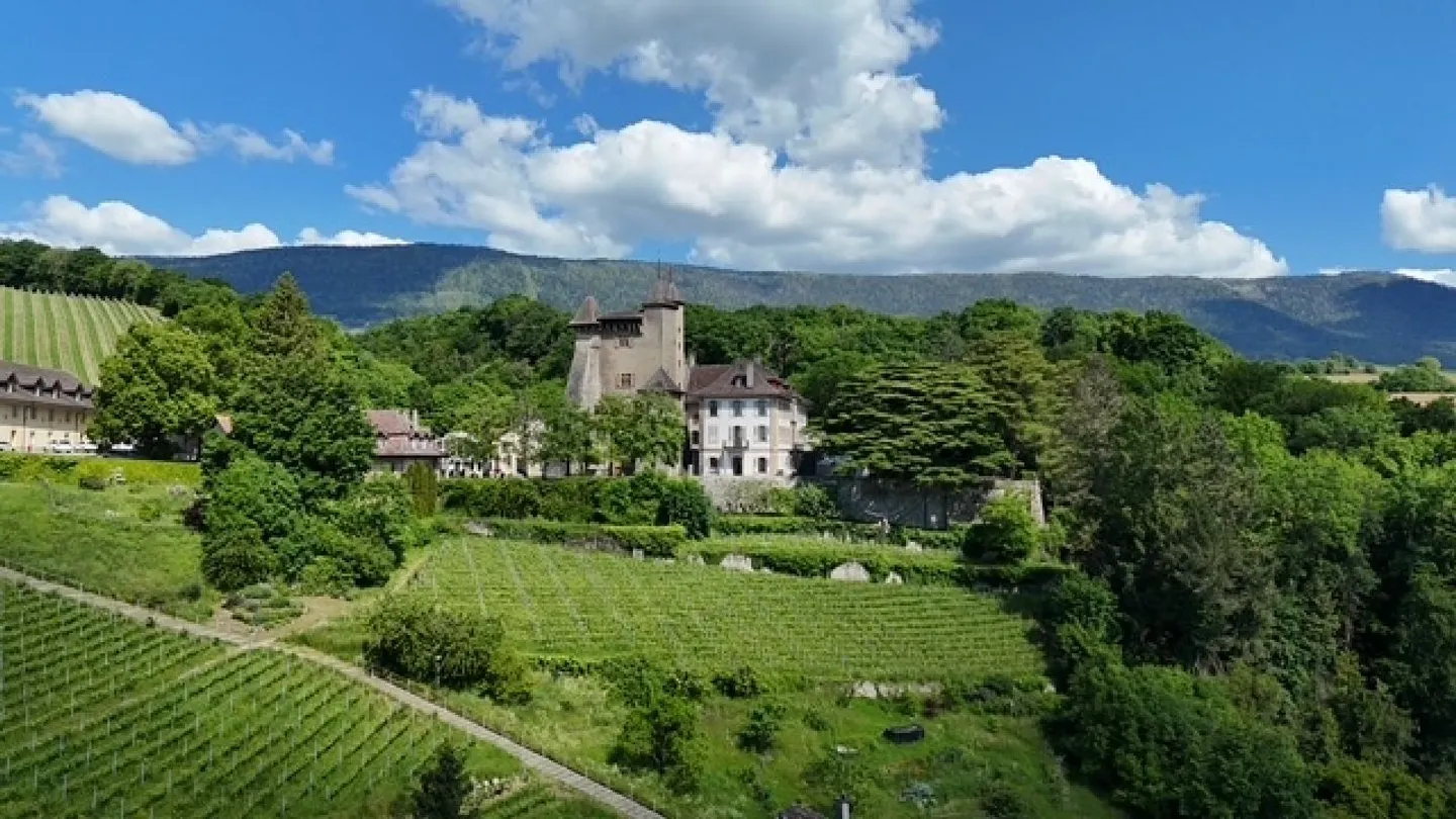 Büro - Foto 6 von 6