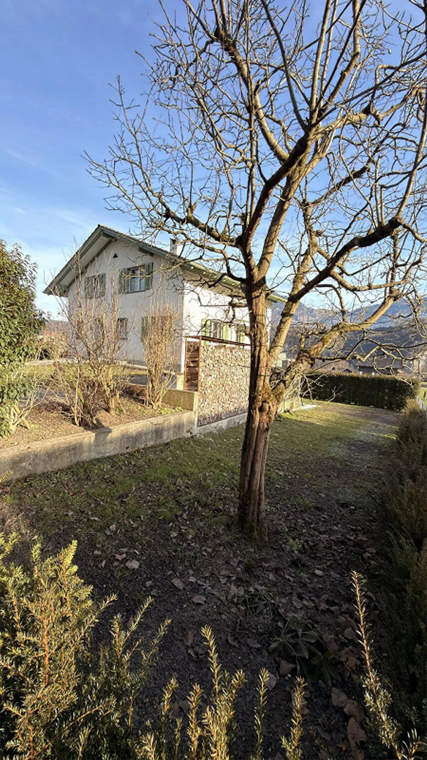 Feel-good house in a quiet location with garden - Photo 3 of 20