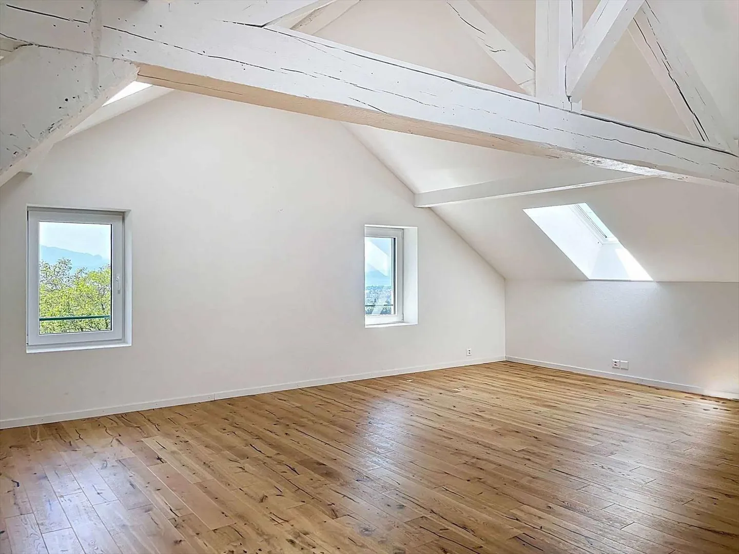 Three and a half room triplex - large garden and partial lake view - Photo 1 of 10