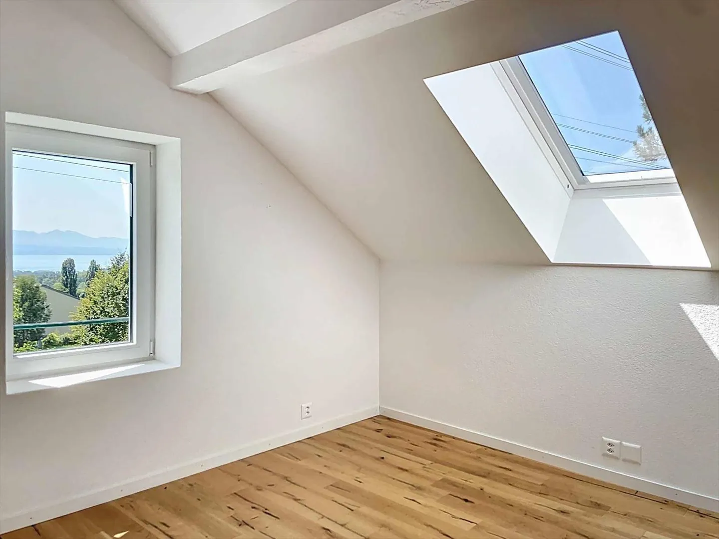 Three and a half room triplex - large garden and partial lake view - Photo 6 of 10