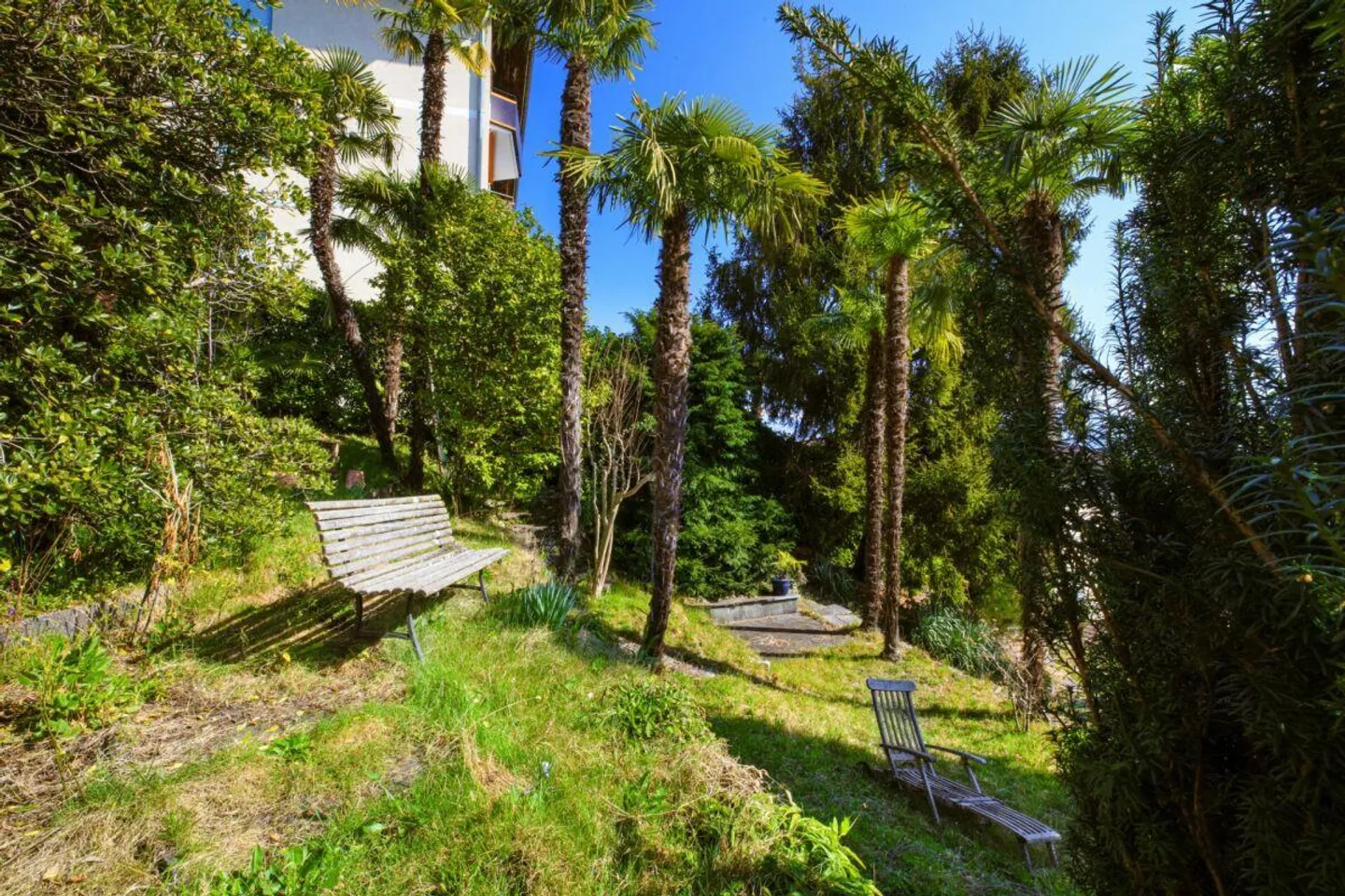 ORSELINA - Haus mit zwei Wohnungen und Baugrundstück - Foto 4 von 29