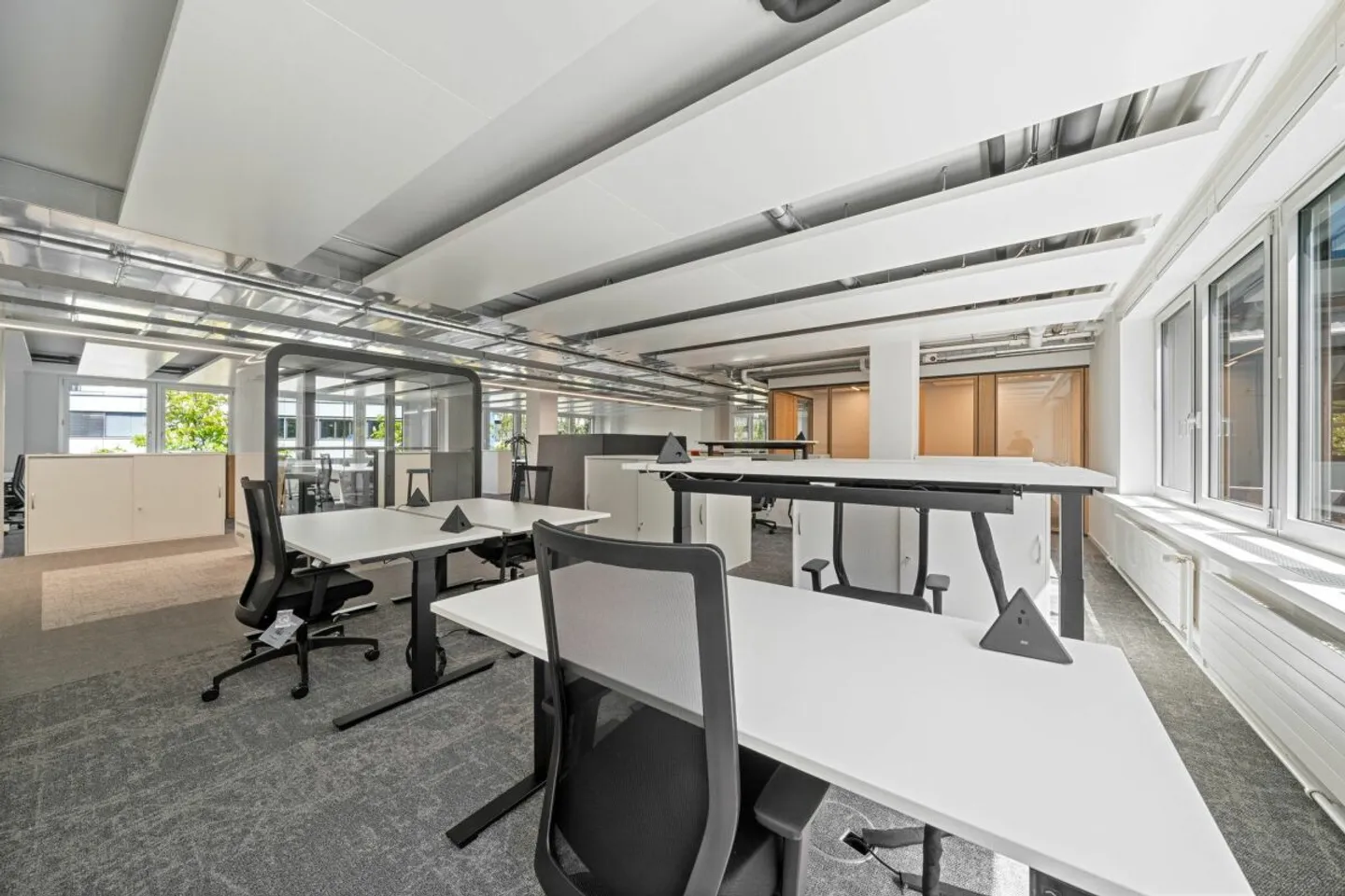 Baslerpark - innovant et unique - Photo 4 sur 15