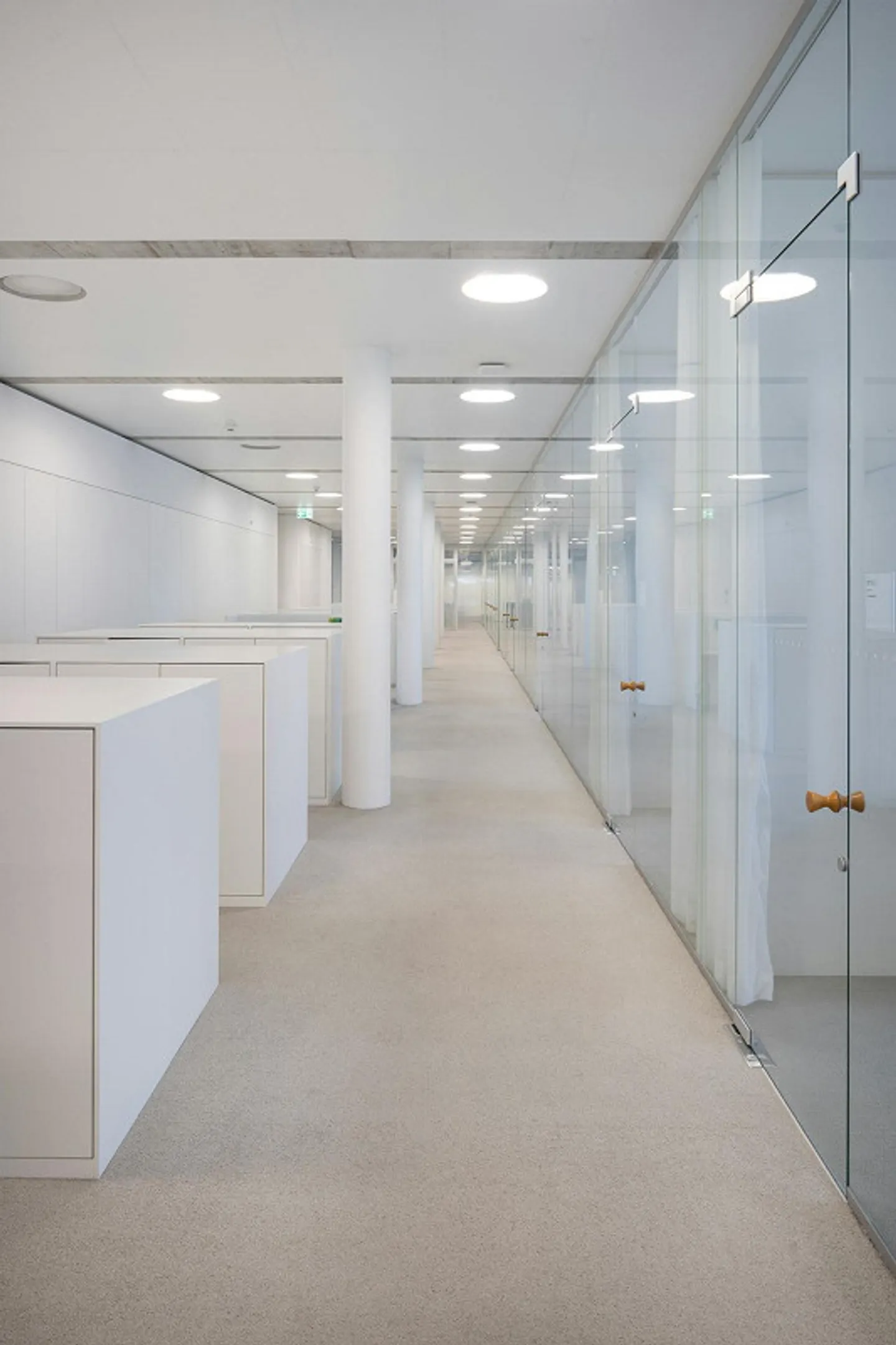 SONUVO - HUB UFFICIO & SCIENZE DELLA VITA ALLSCHWIL - Foto 8 di 12