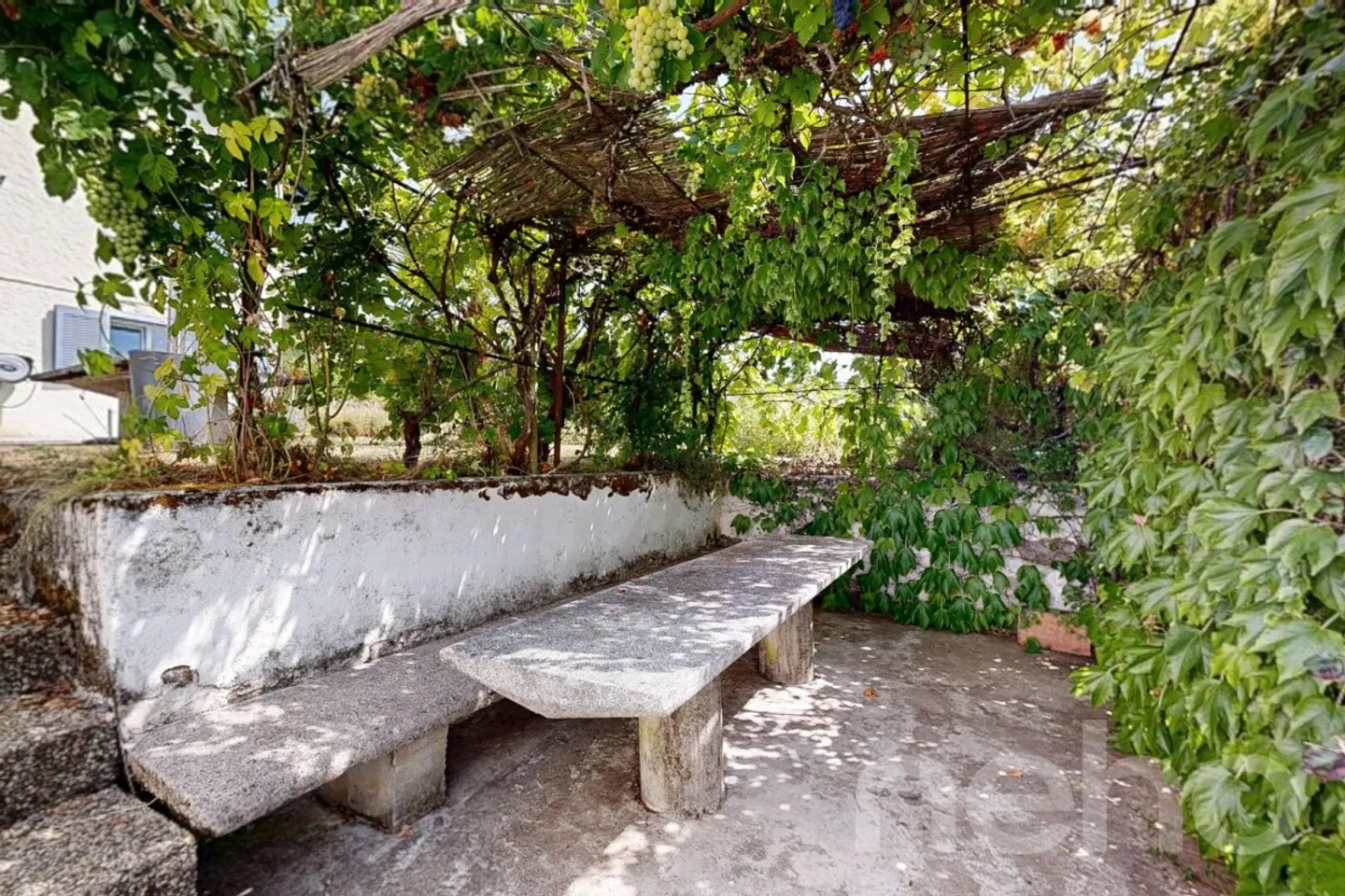 Maison Charmante avec Vignes - Photo 9 sur 12