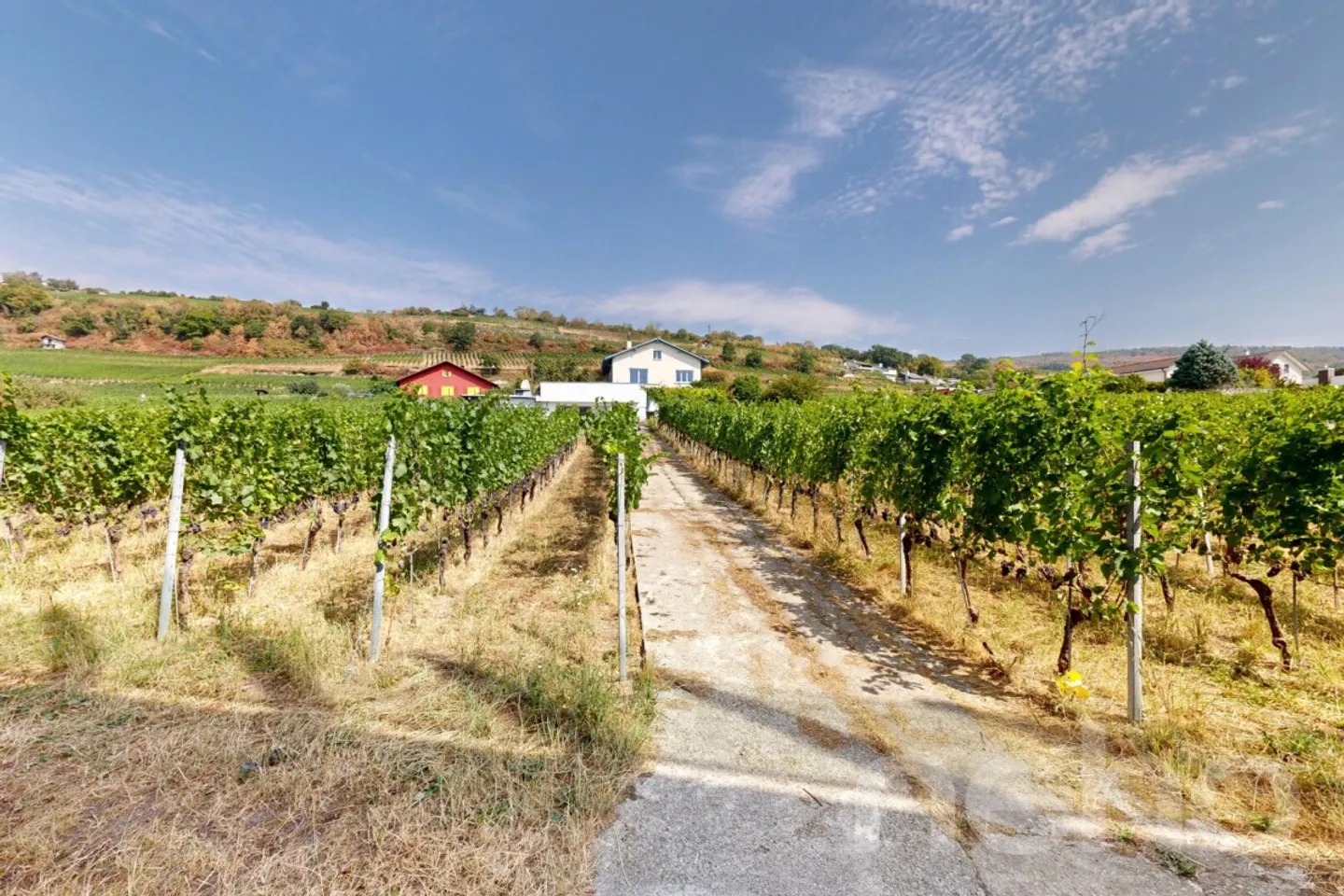 Maison Charmante avec Vignes - Photo 5 sur 12