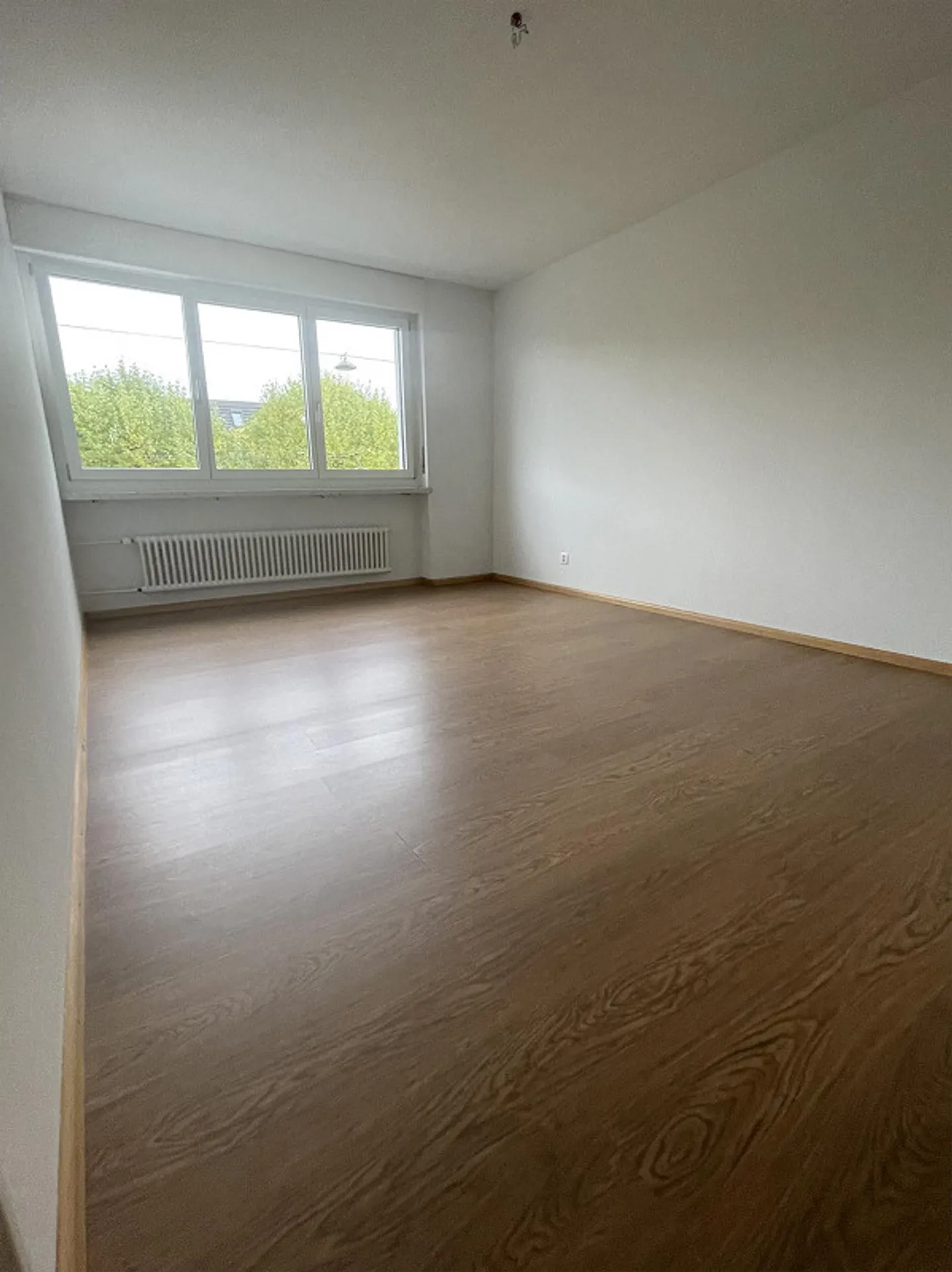 Helle 2,5-Zi-Wohnung - Foto 2 von 7