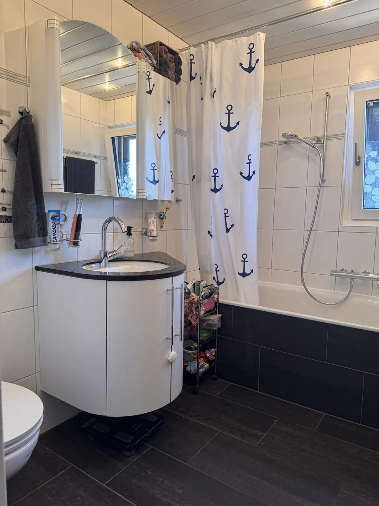 Stunning Duplex with Alpine Views - Photo 13 of 13