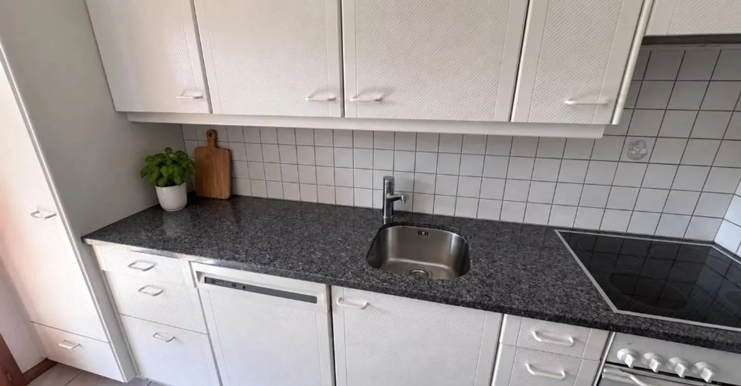 Spacious Apartment with Garden - Photo 7 of 7