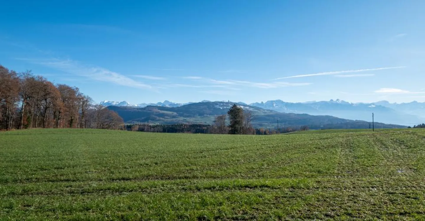 Renovated isolated farmhouse surrounded by fields - Photo 12 of 13