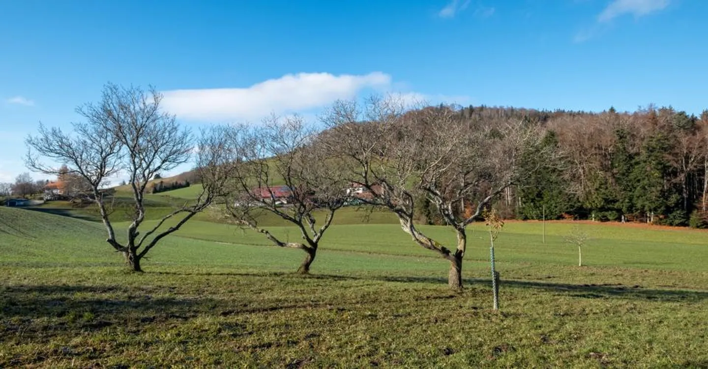 Renovated isolated farmhouse surrounded by fields - Photo 13 of 13