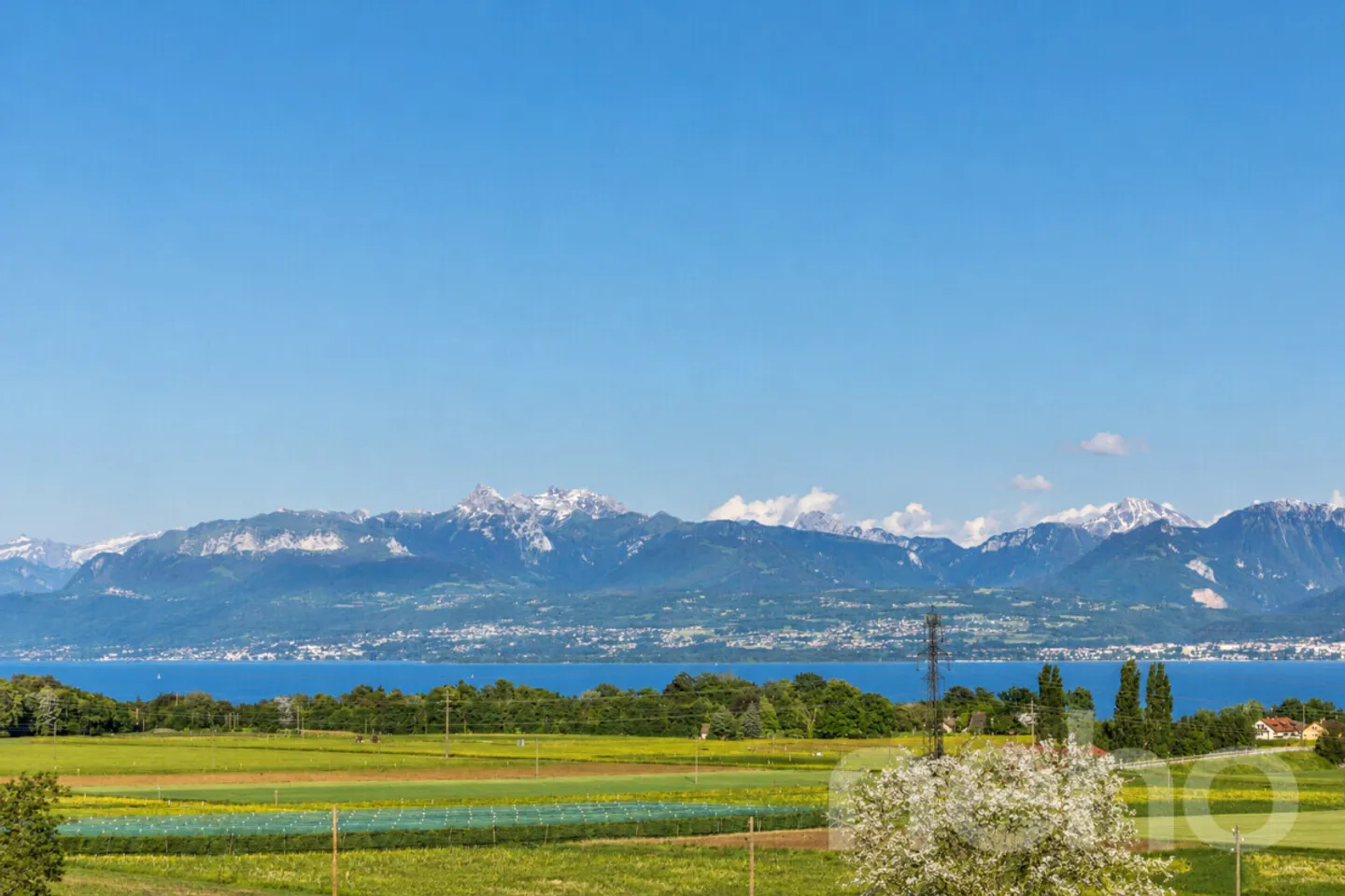 Casa spaziosa con panorama spettacolare sul lago e le Alpi - Foto 3 di 12
