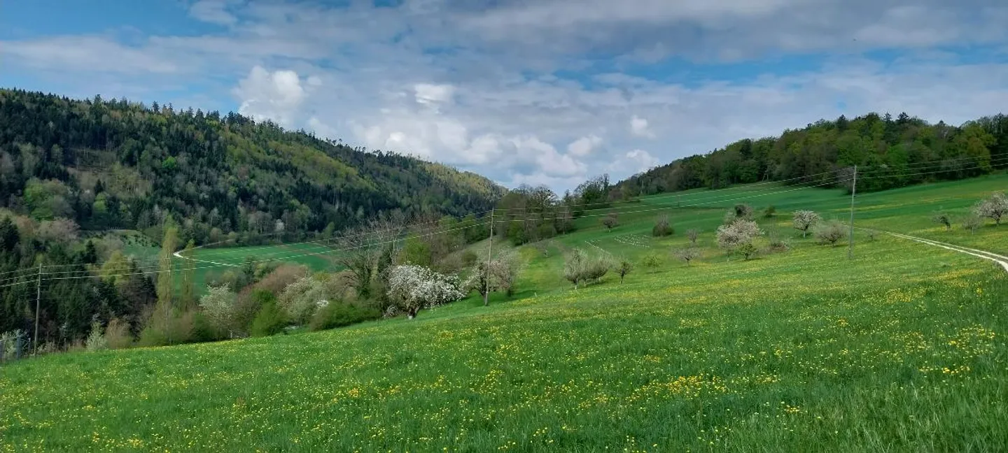 Terreno soleggiato con vista libera - Foto 1 di 1