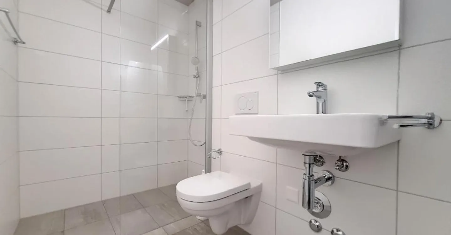 2.5 Room Apartment in Sion - Photo 4 of 8