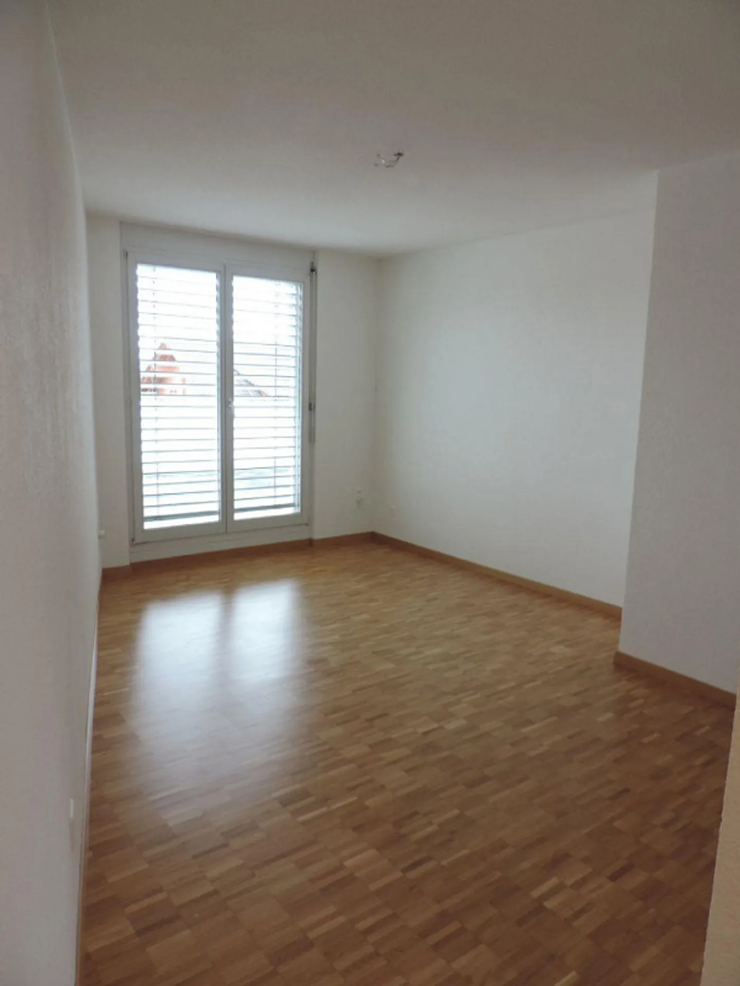 Attic seeks new tenant - Photo 2 of 13
