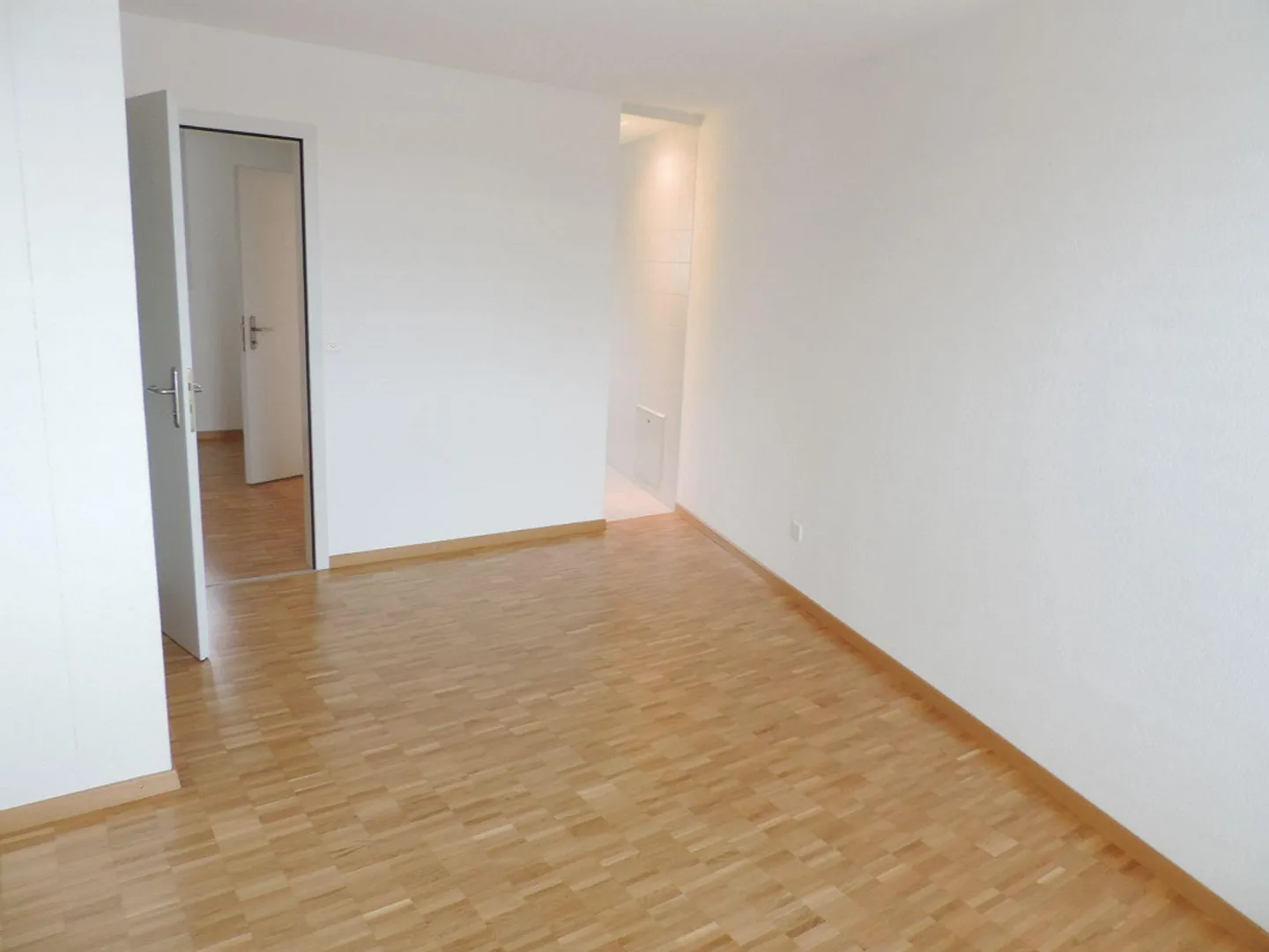 Attic seeks new tenant - Photo 3 of 13