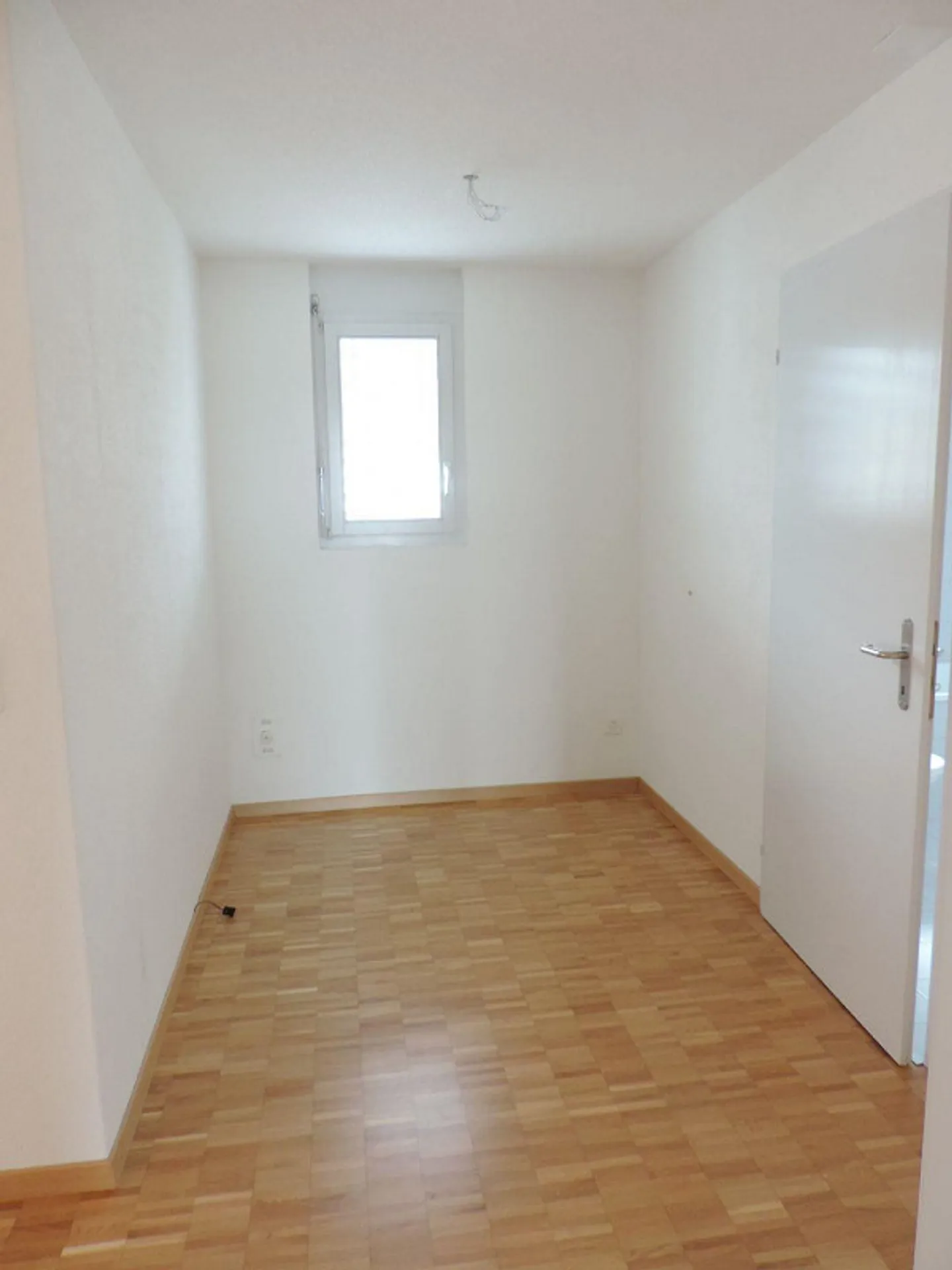 Attic seeks new tenant - Photo 4 of 13