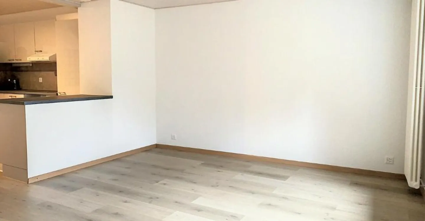 3½ stanze - Spirito loft! - Foto 3 di 11
