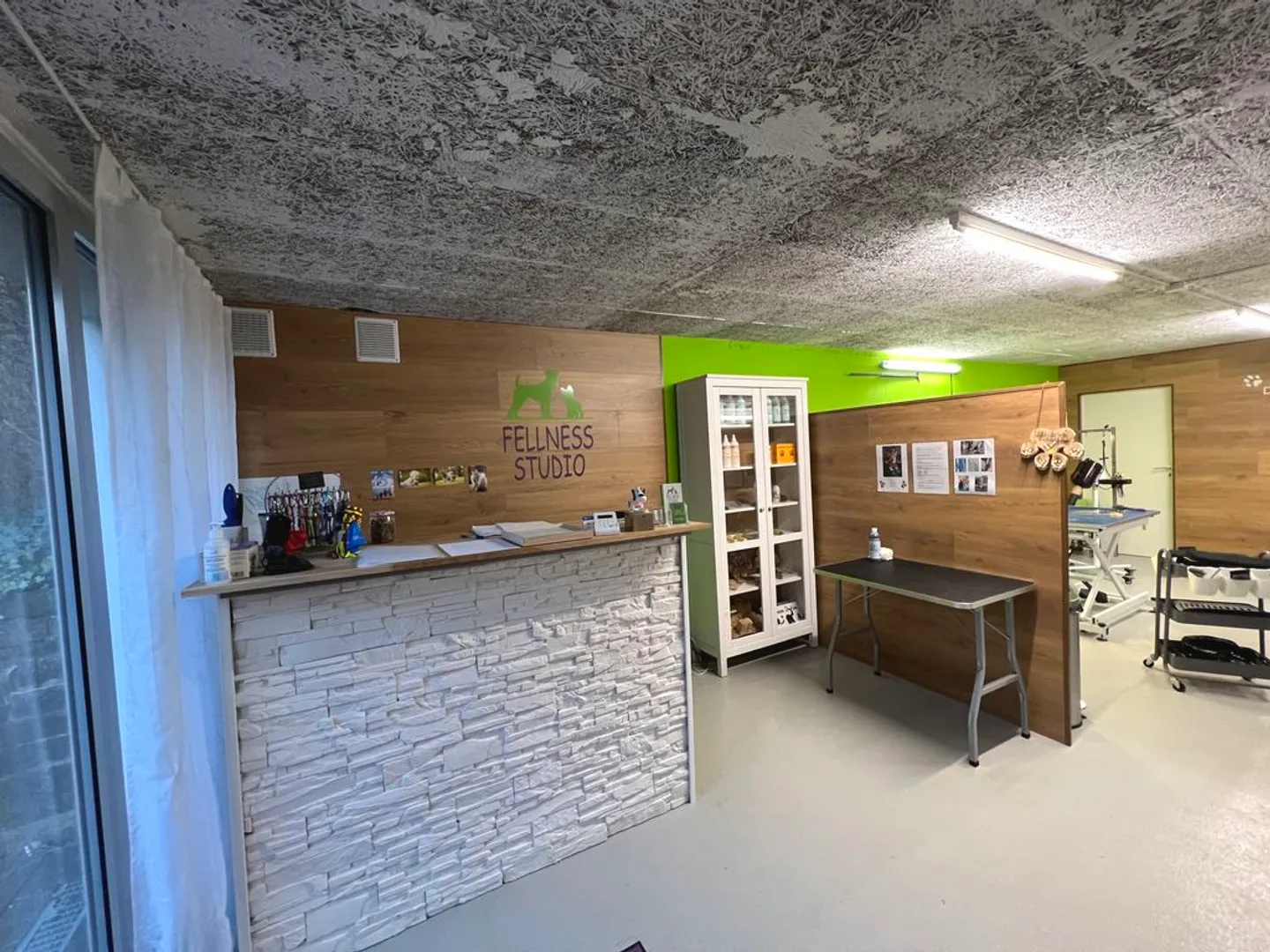 Your new studio in the green! - Photo 1 of 10