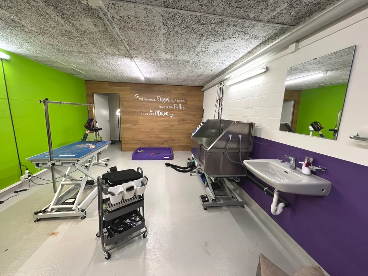 Your new studio in the green! - Photo 3 of 10