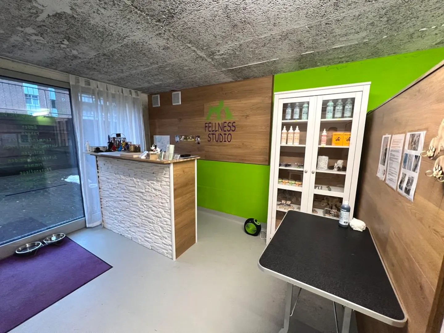 Your new studio in the green! - Photo 2 of 10