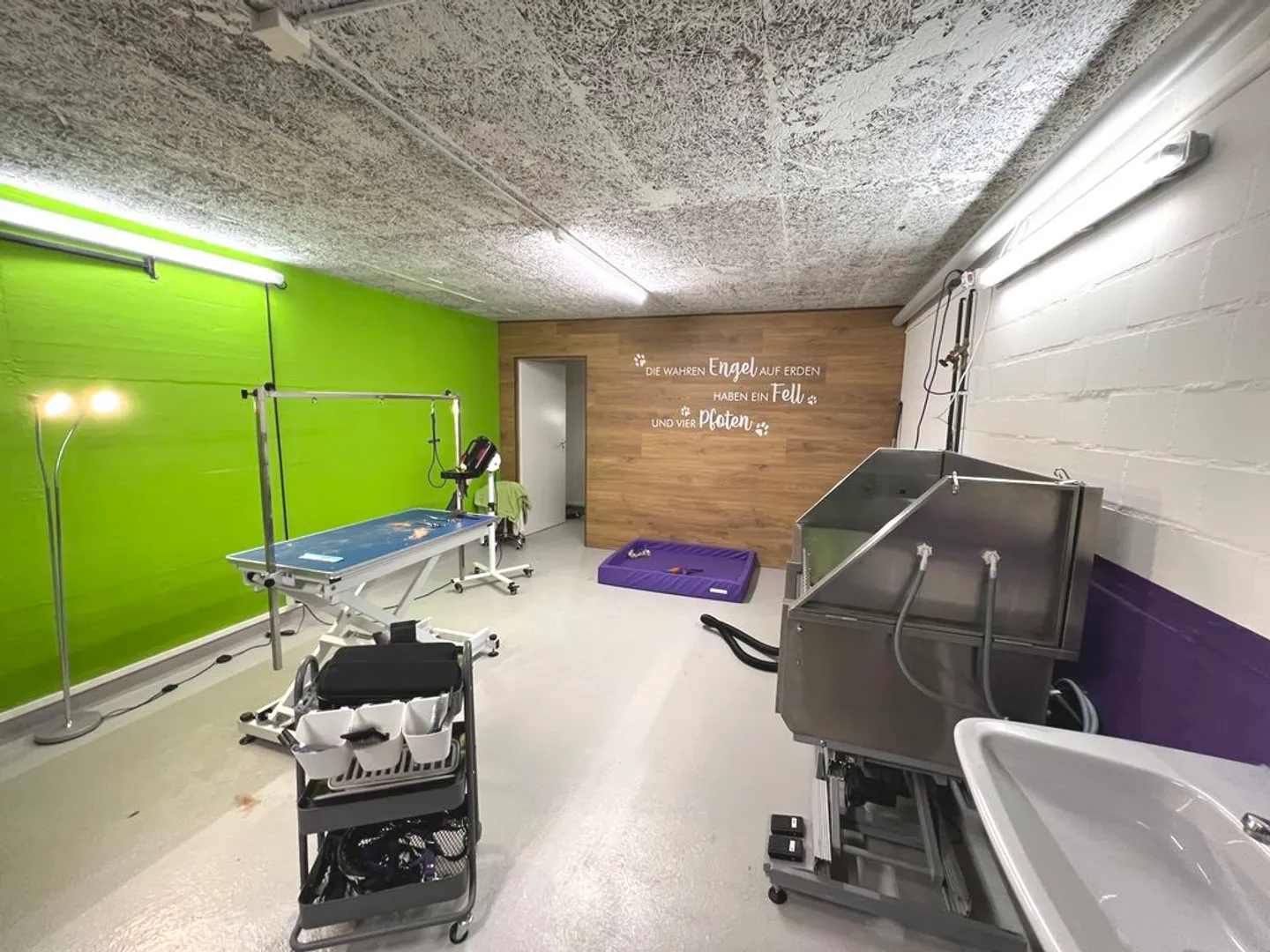 Your new studio in the green! - Photo 6 of 10